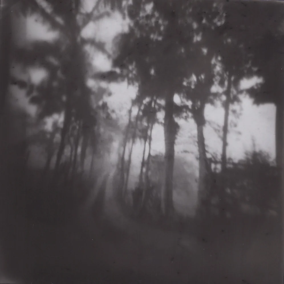Silver Gelatin Print