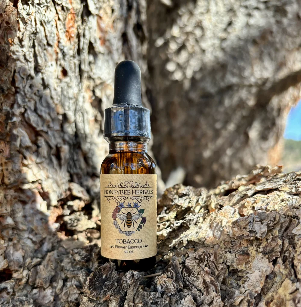 Tobacco Flower Essence — Honeybee Herbals