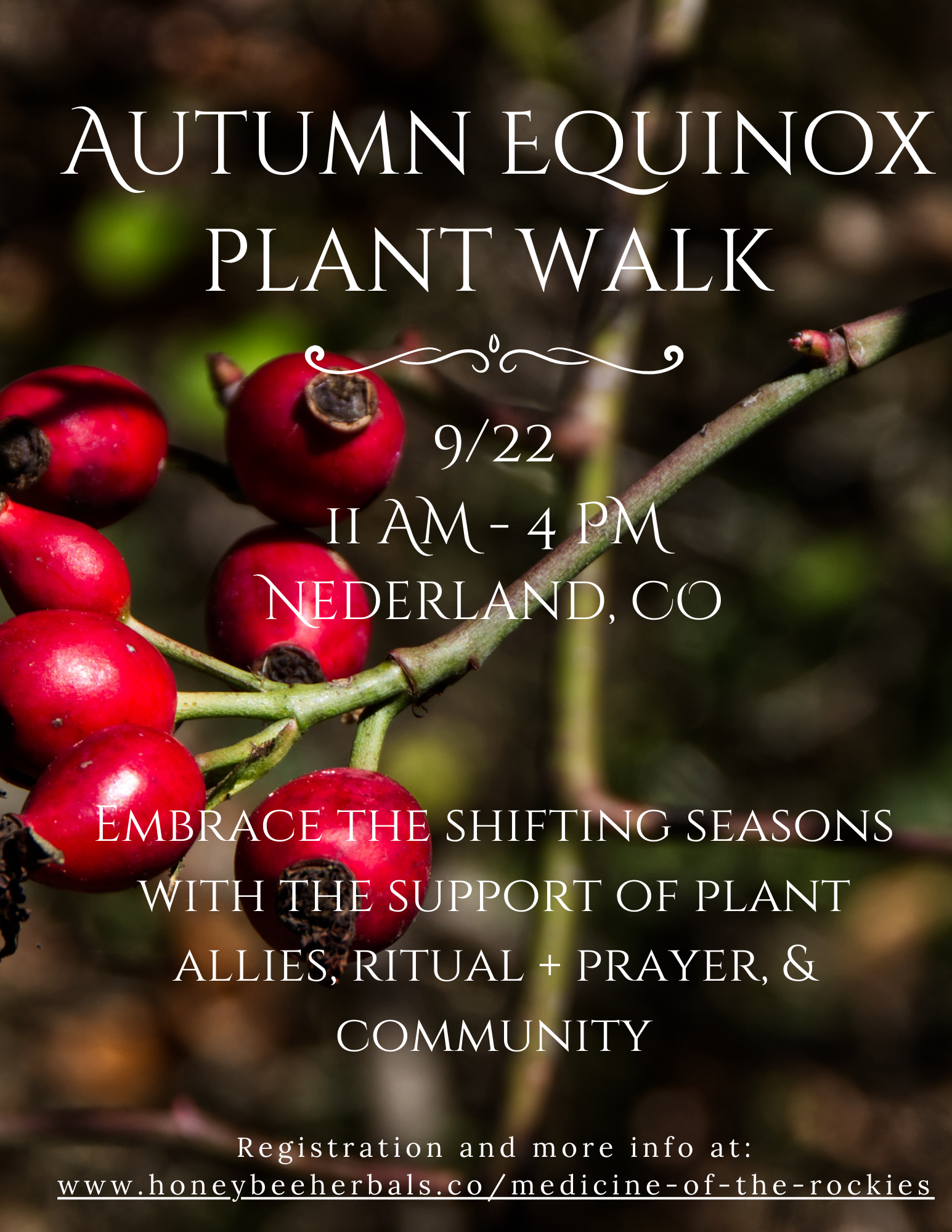 Autumn Equinox Plant Walk