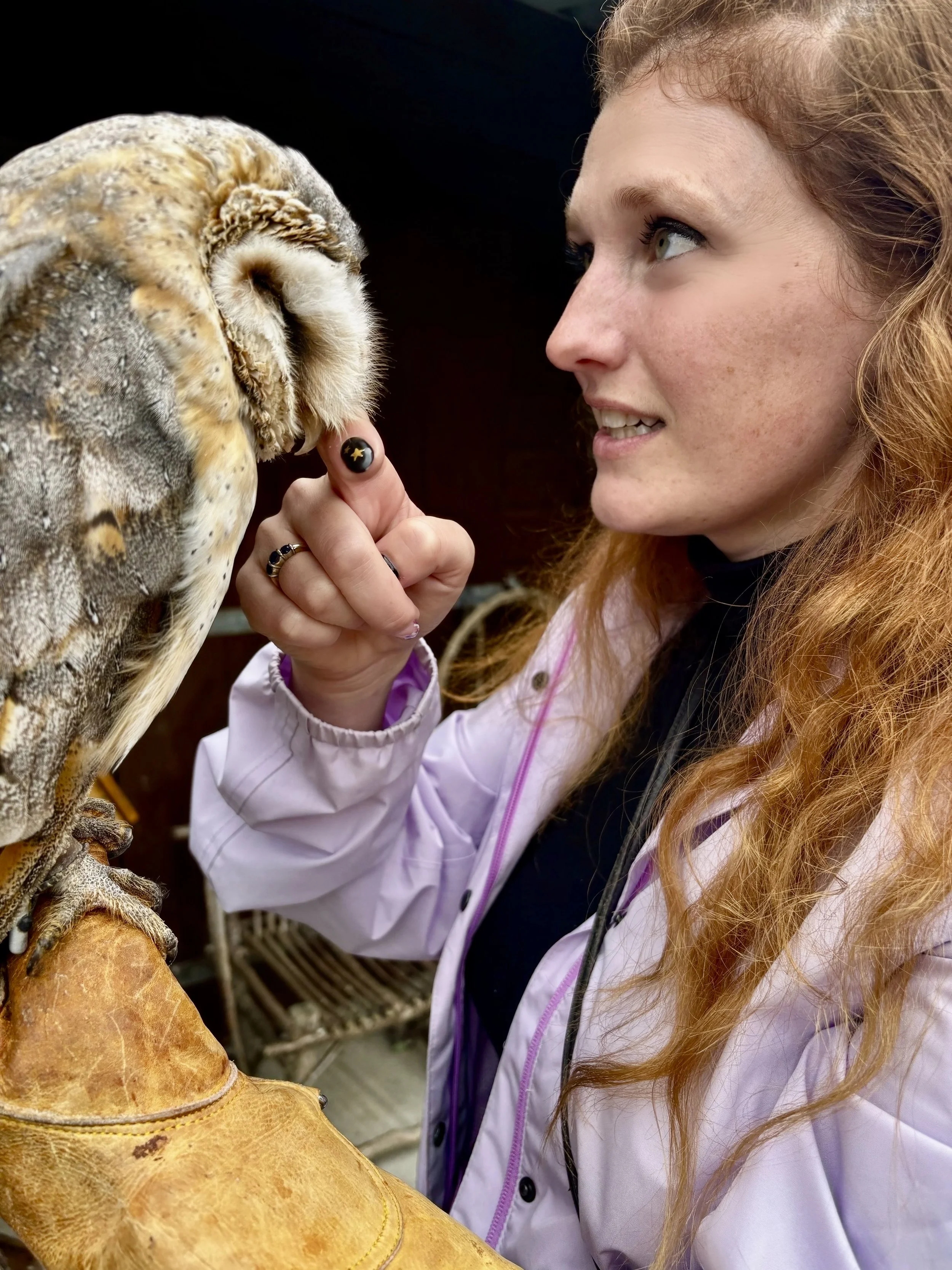 Kiley Wilkens-O'Brien