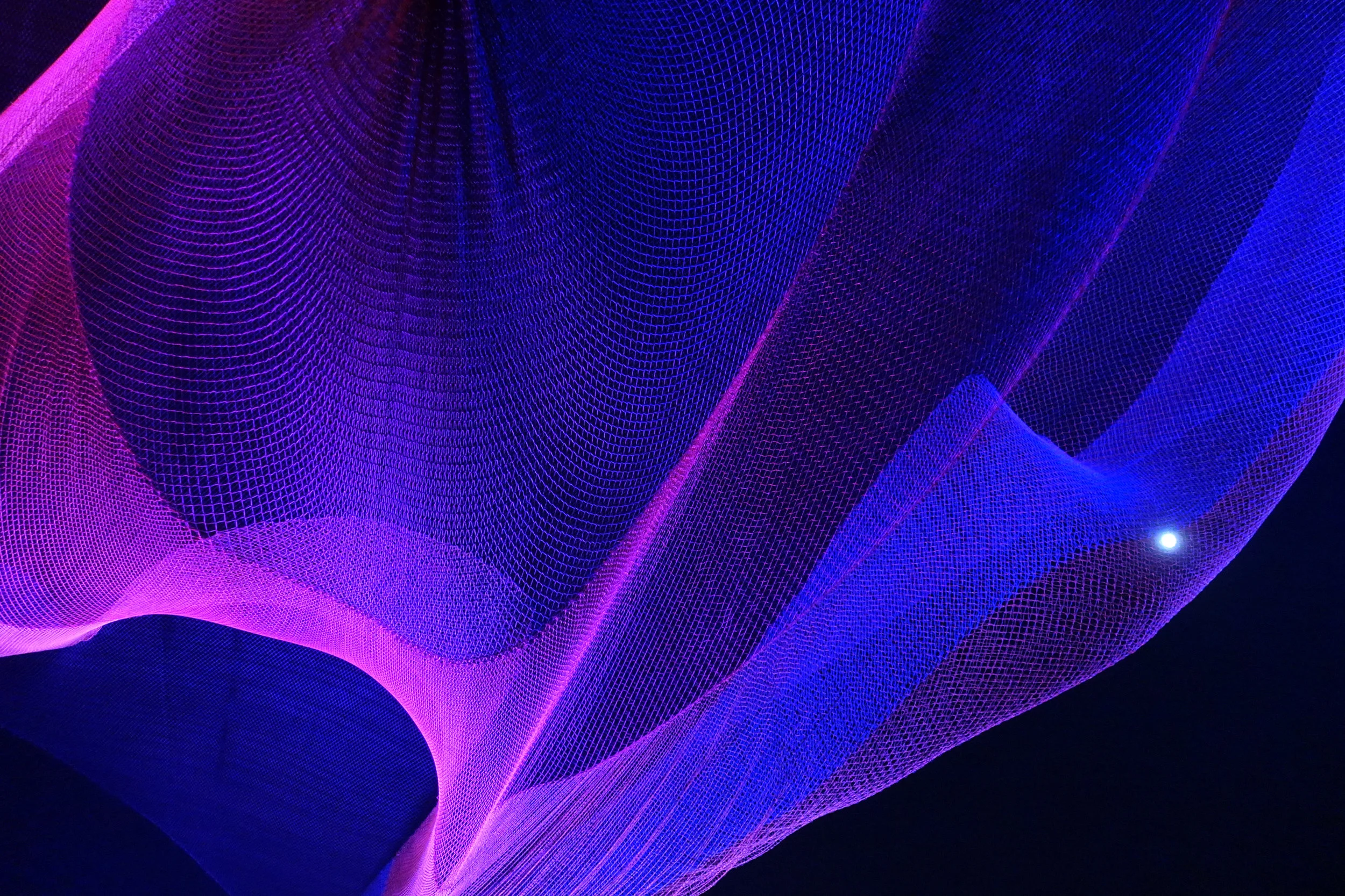 CHI_Echelman_PhotoMarkDavis_DSC01703.jpg