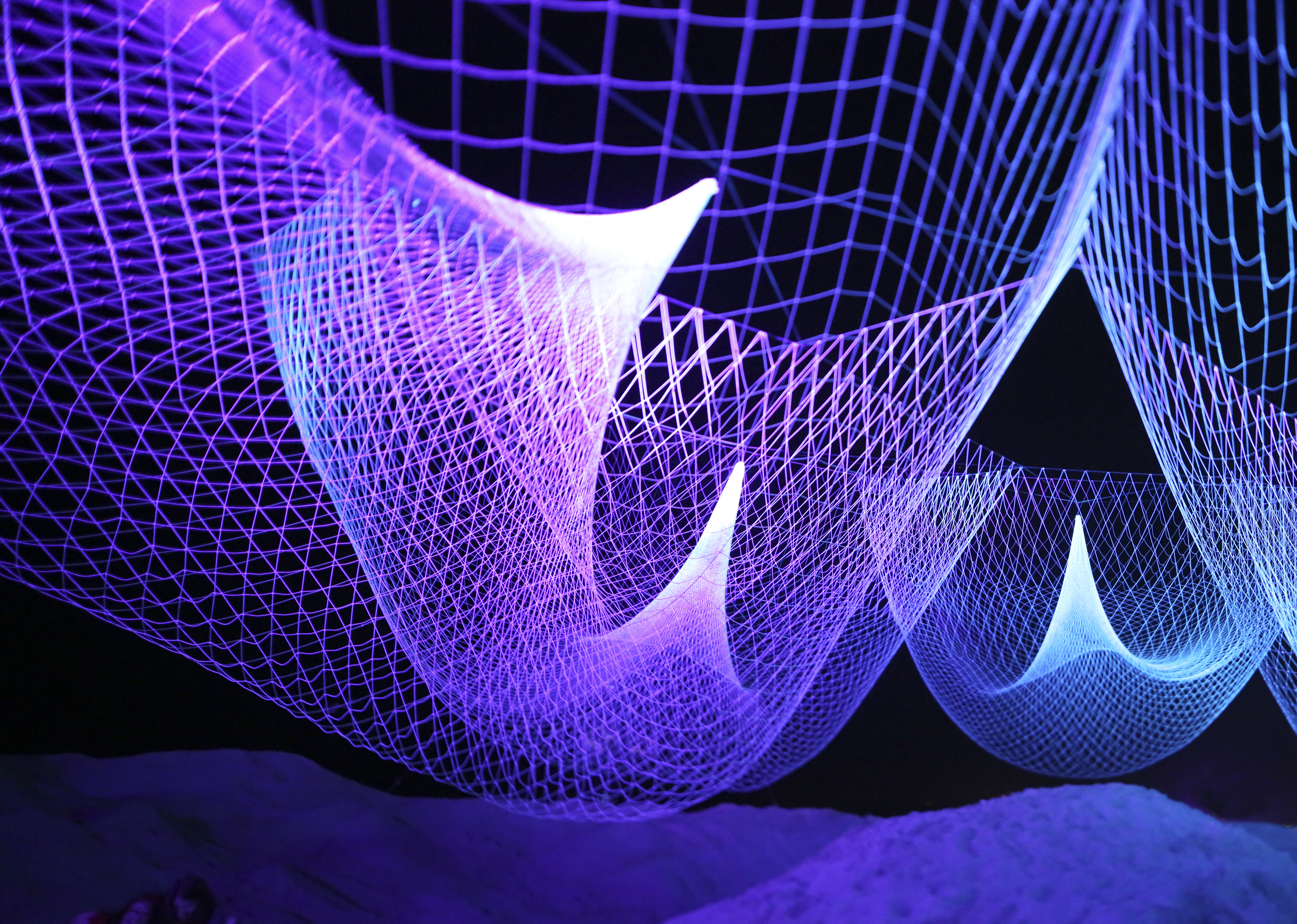 SMonica_Echelman_PhotoAndrewKSachs_556A0995.png