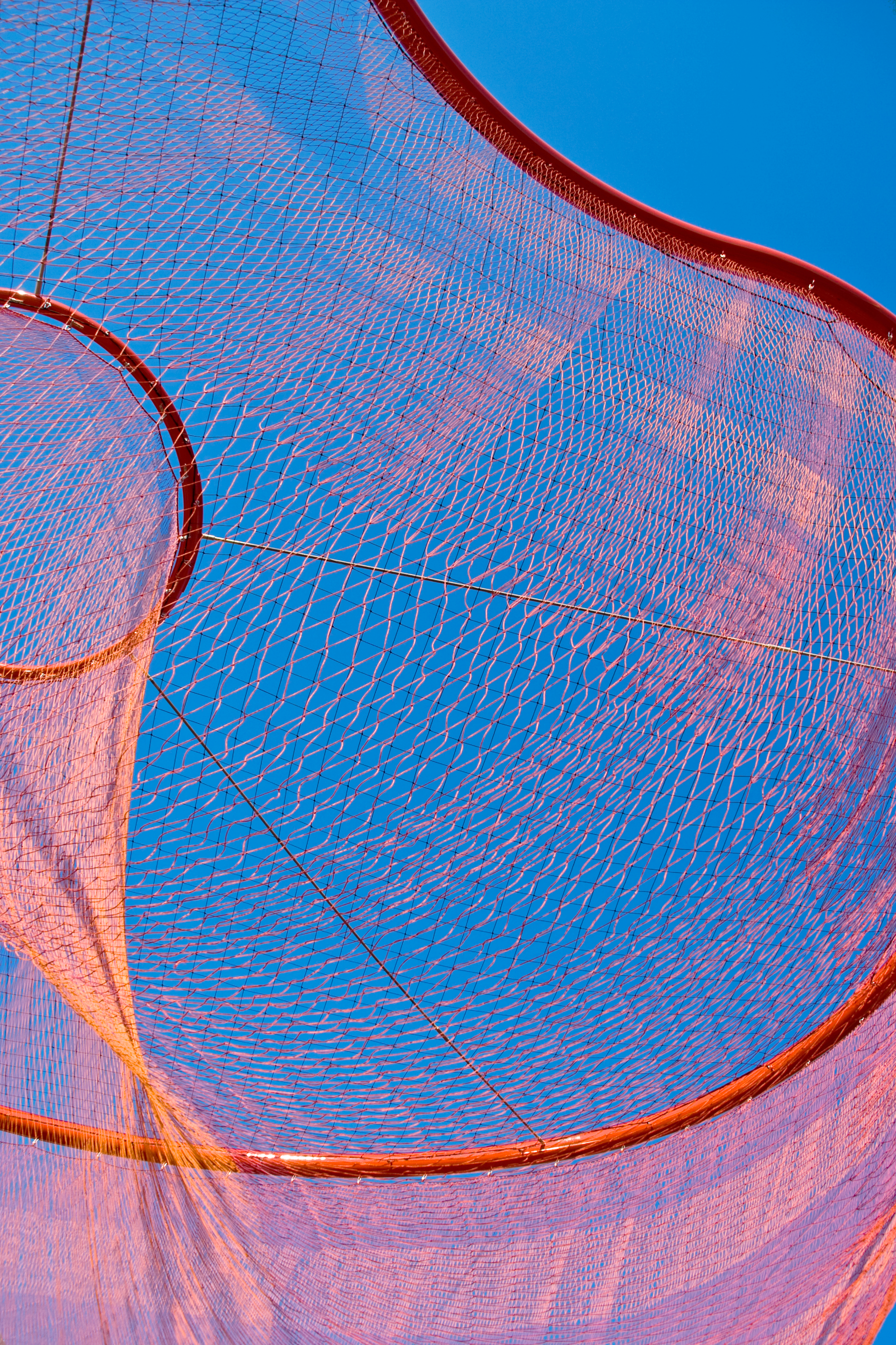 ROO_Echelman_PhotoJanetEchelman_06_GJH.png