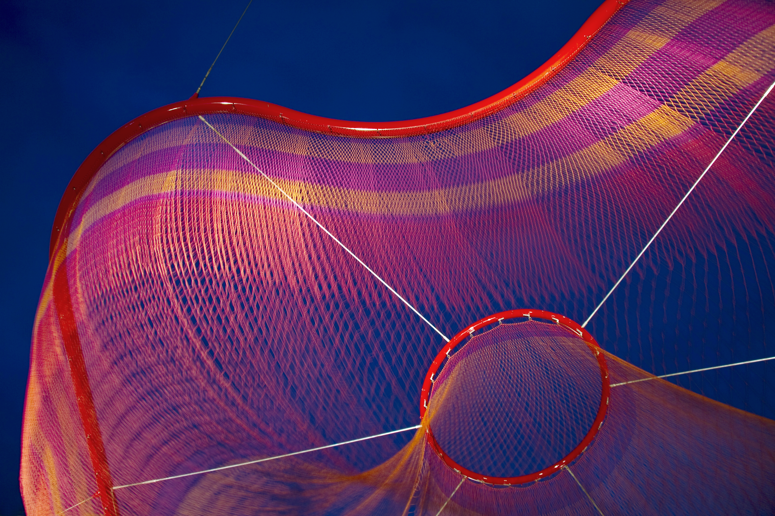 ROO_Echelman_PhotoPeterVanderwarker_4238_YYMGJH.png