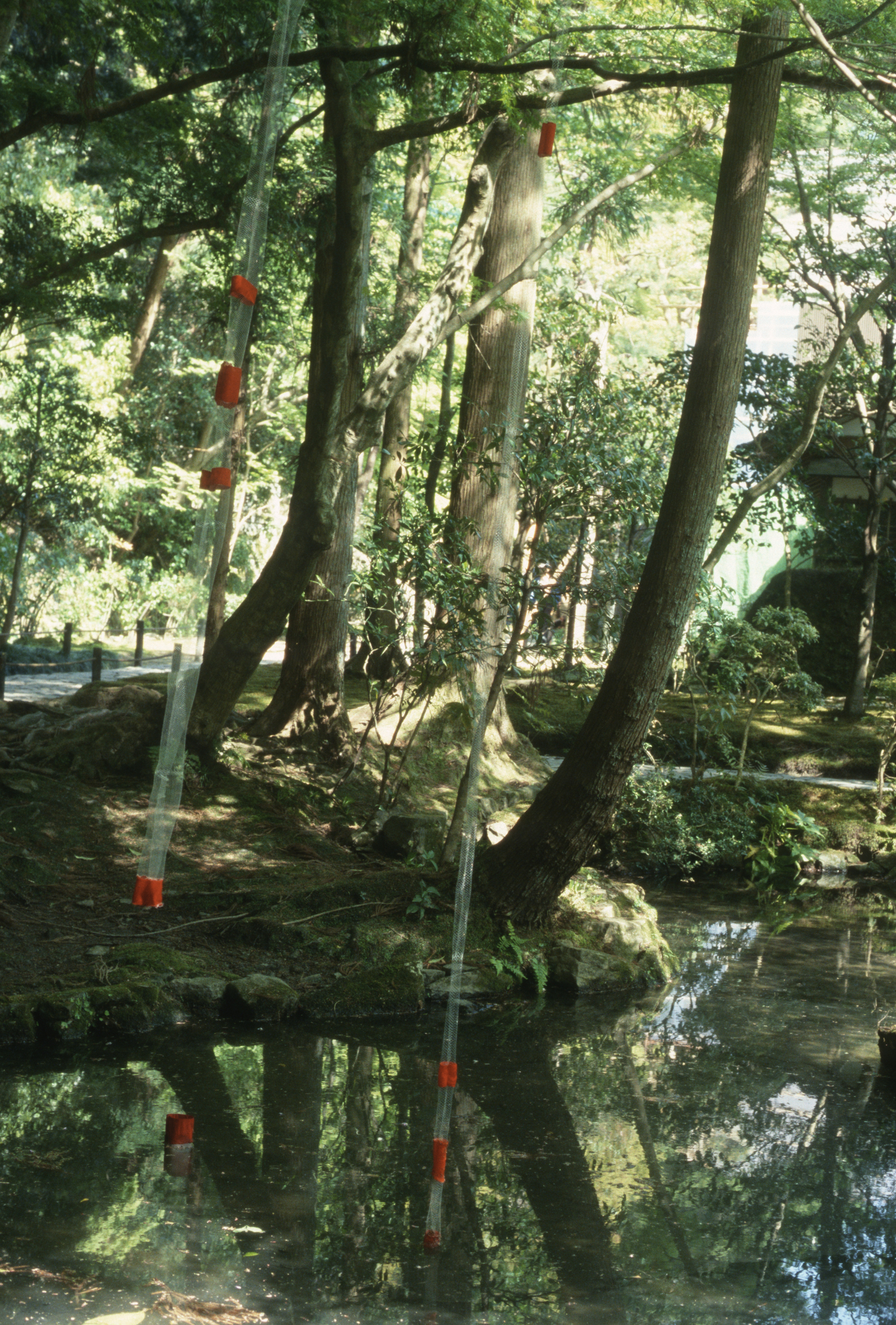 Japan_Echelman_PhotoStudioEchelman_0023.jpg