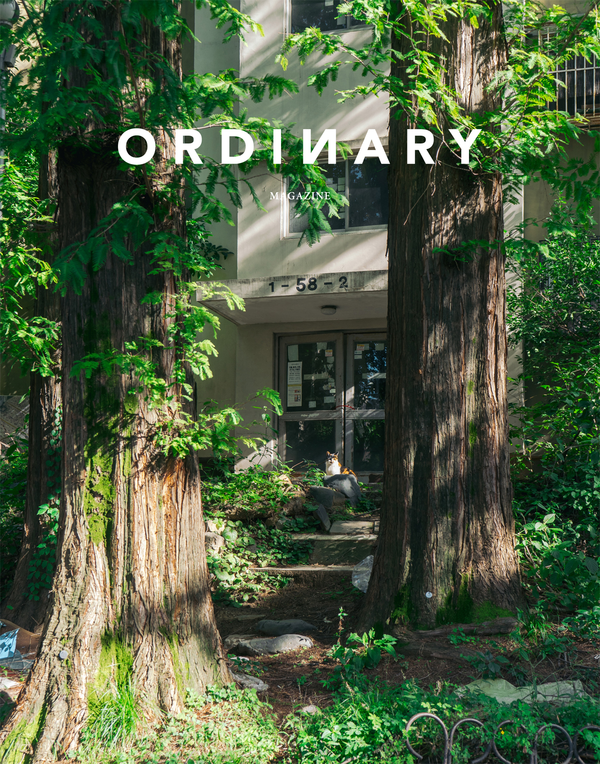 ORDINARY MAGAZINE