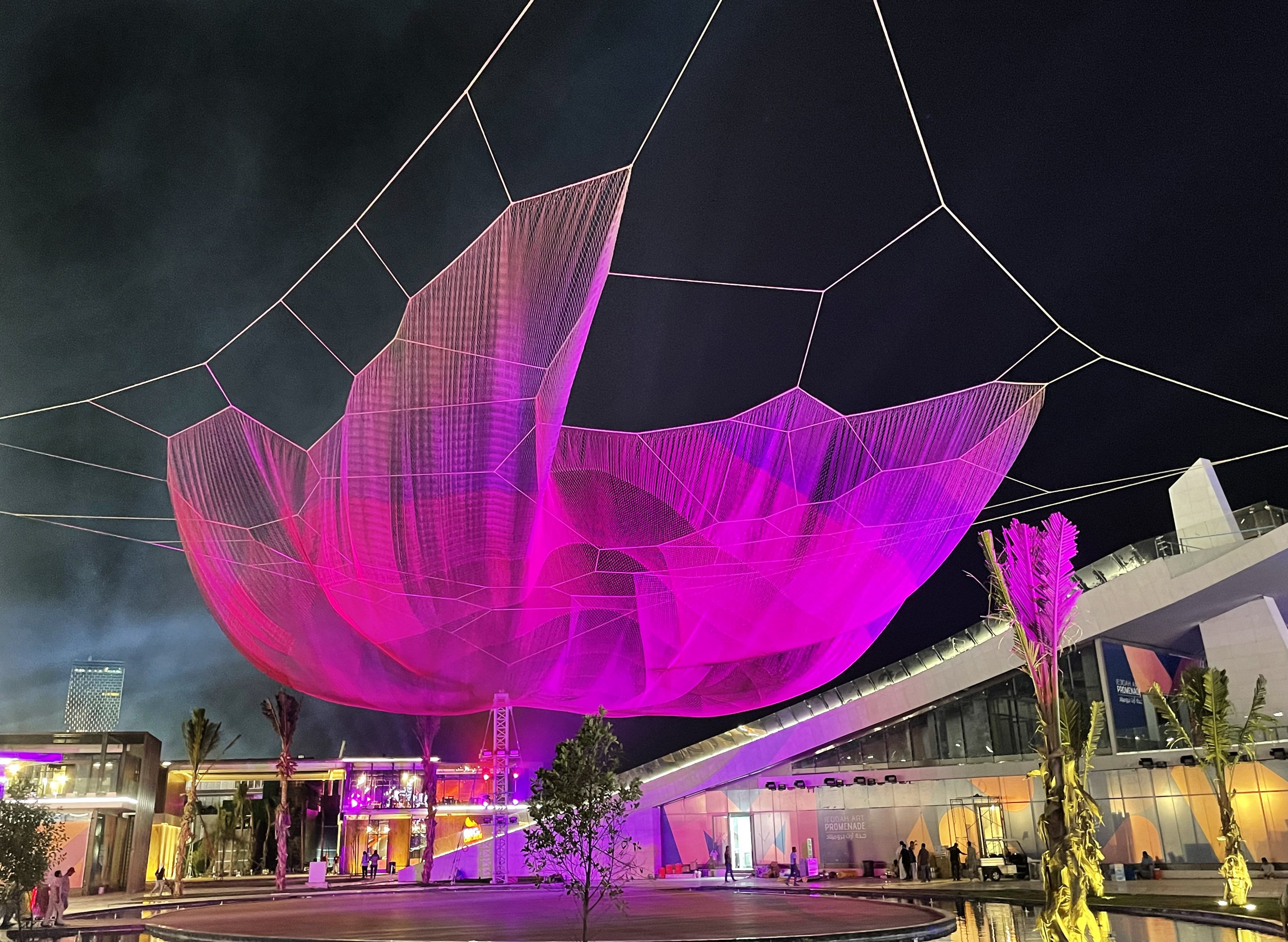 JED_Echelman_PhotoGuyPavelo_4005.jpg