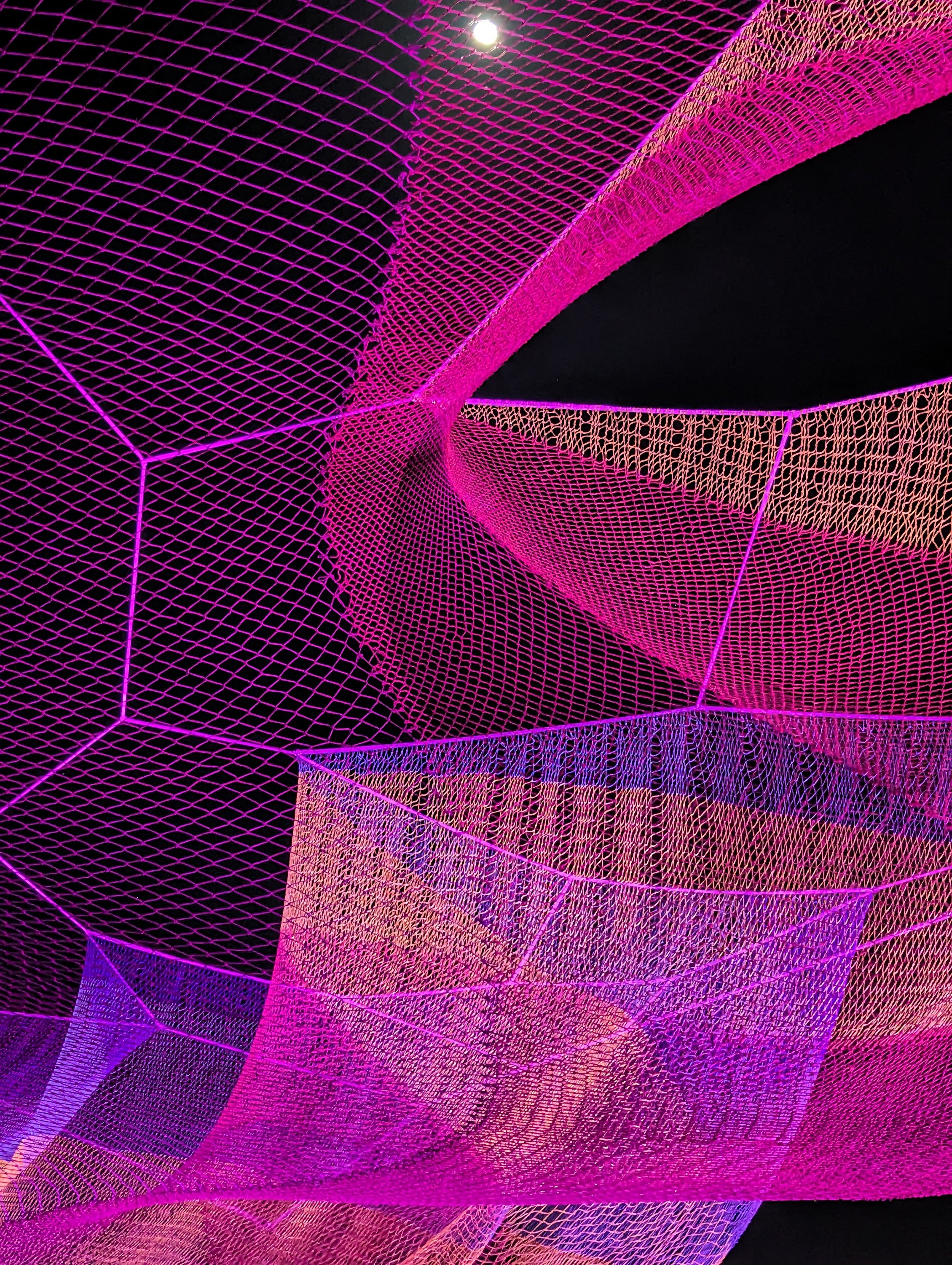 RIY_Echelman_PhotoJanetEchelman_200536171e.jpg