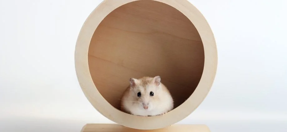 Episode 115: Rat Race By Another Name