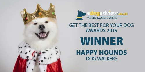 eDog_awards_500x250_happyHounds1.jpg