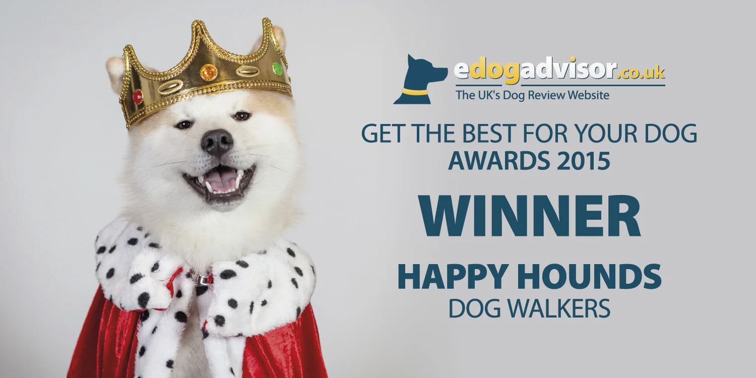 winner-dog-walker.jpg