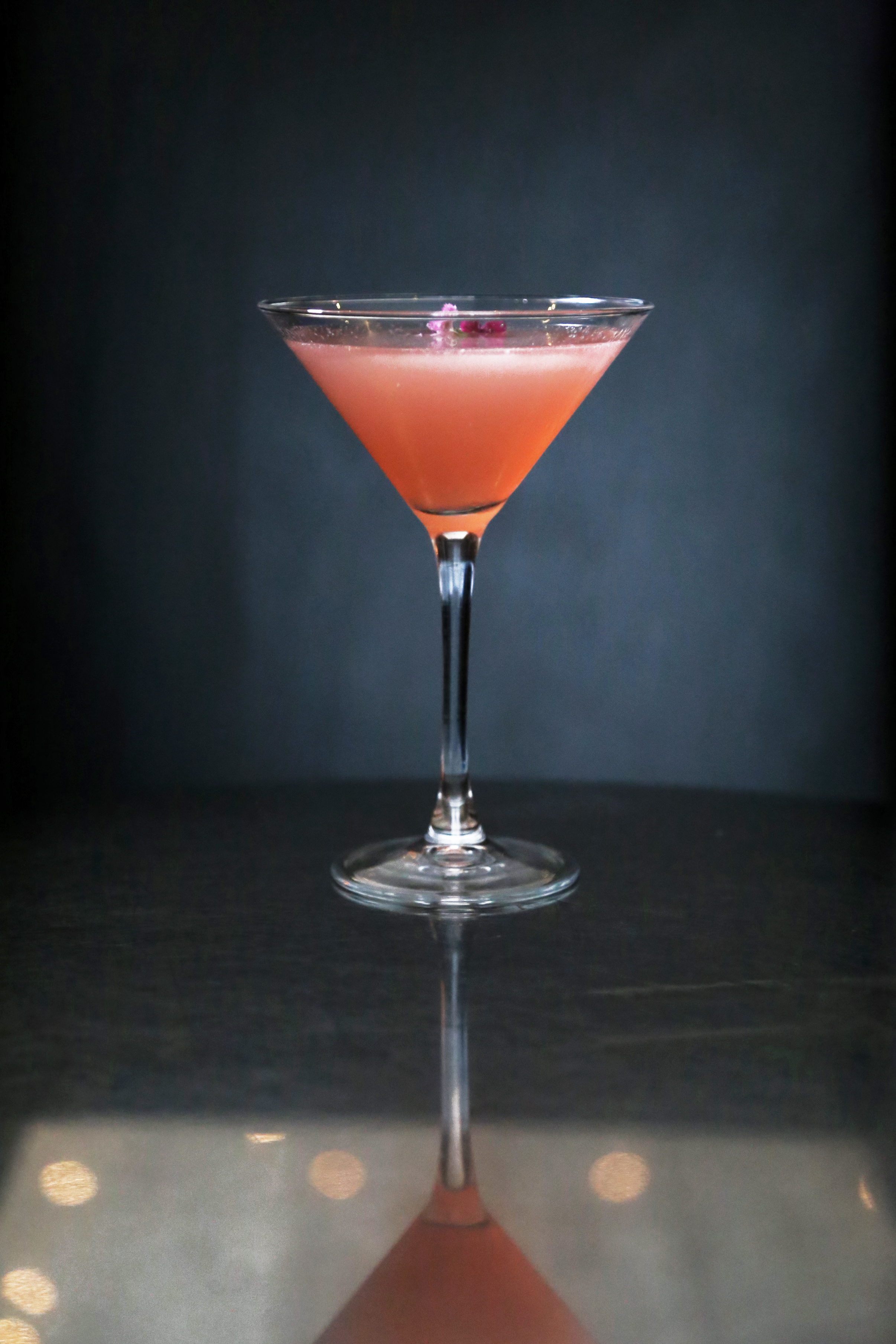 marissa-evans-barclay-prime-pa-cocktails-1717.jpg
