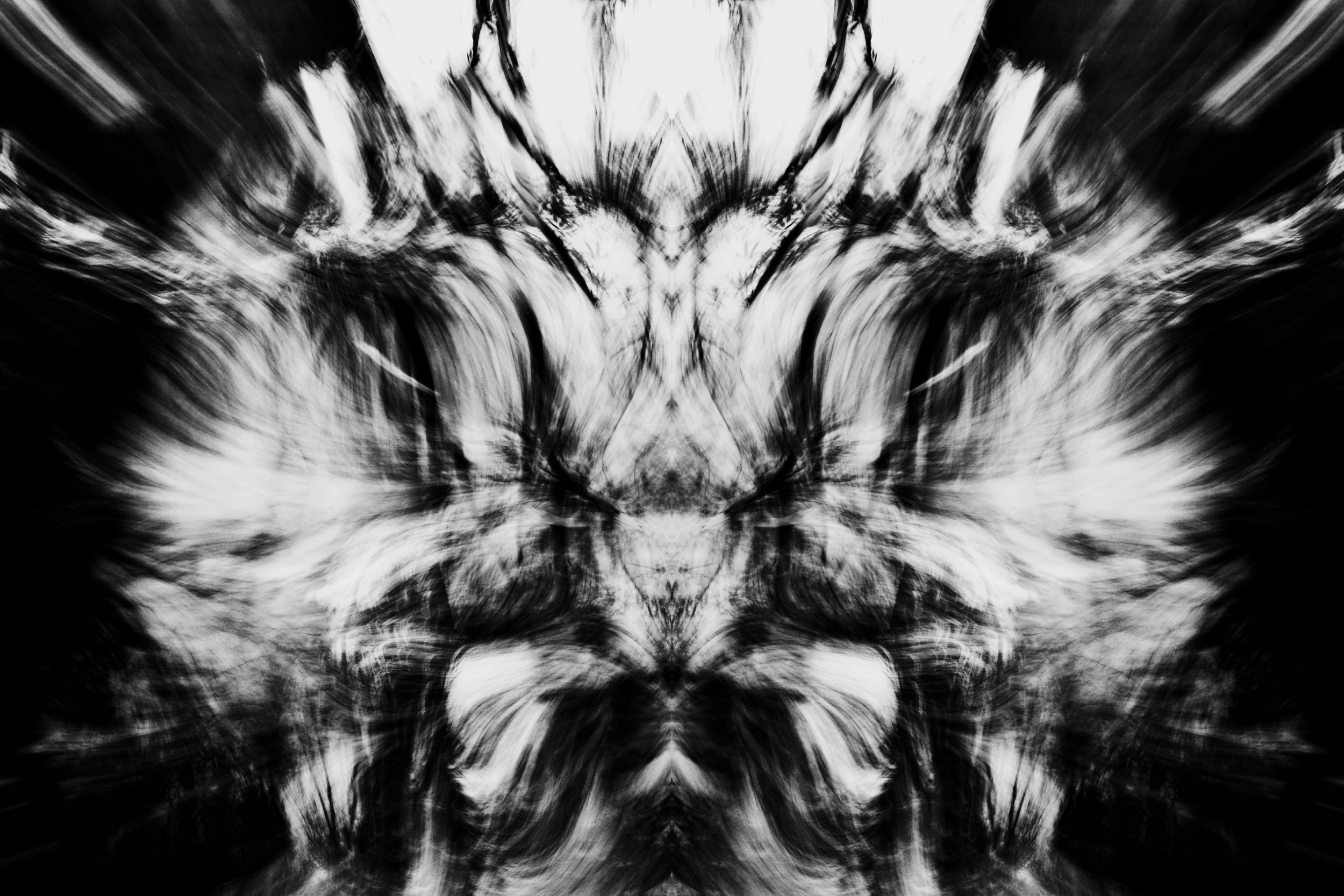 jan_5_black and white swirl.jpg