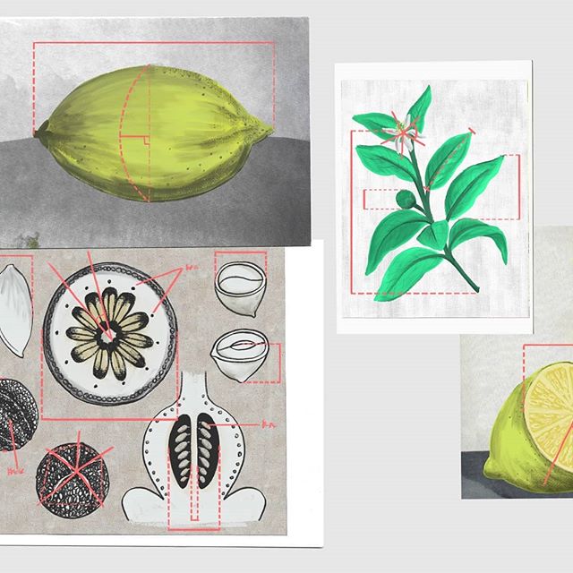 Digitally painted designs and concepts for a film on the scientific phenomenon of Emergence. More fruit 🍋
.
.
.
#2danimation #animation #designs #digitalpainting #paint #texture #lemon #fruitbowl #stilllife #postcards