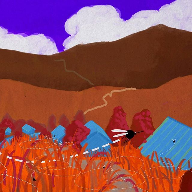 Some #designs for an animation I'm working on at the moment about malaria.
.
.
.
#malaria #mosquito #2danimation #animation #digitalpainting #photoshop #texture #colours #motherandchild #landscape #grassland #village