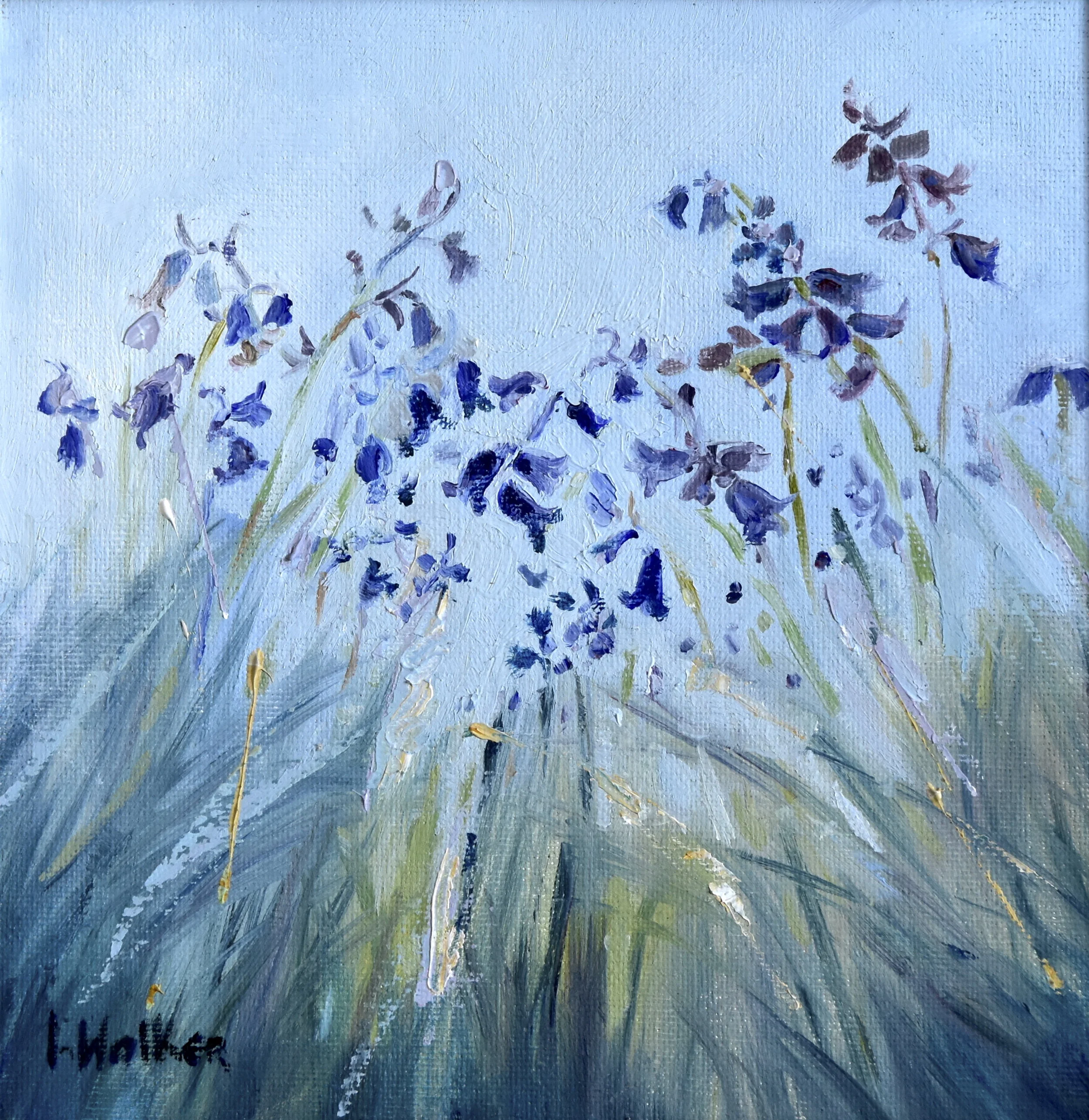 Culzean Bluebells