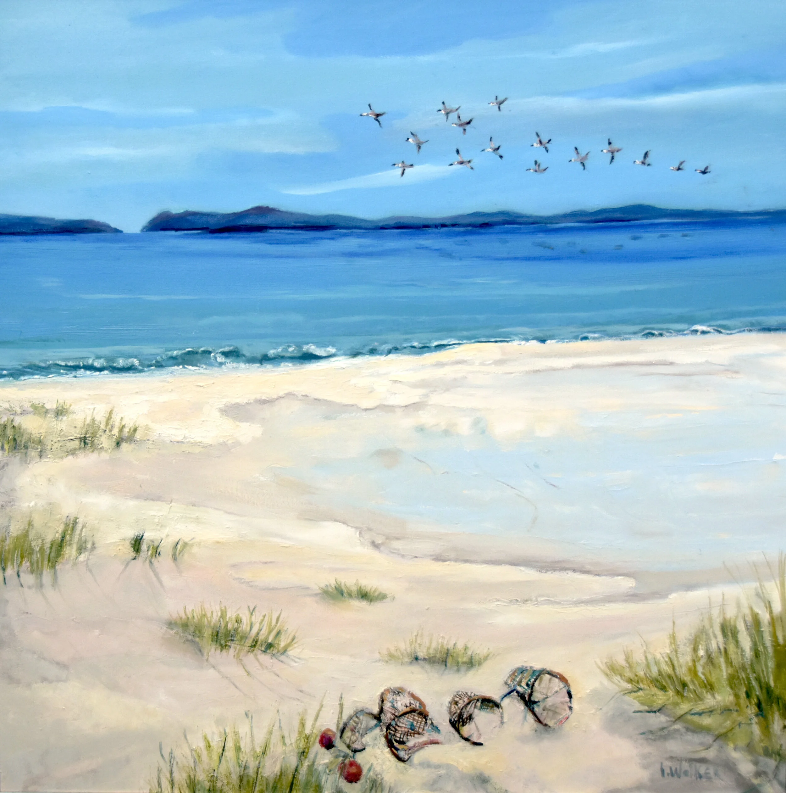 EDN_5873 geese over Barra copy.jpg
