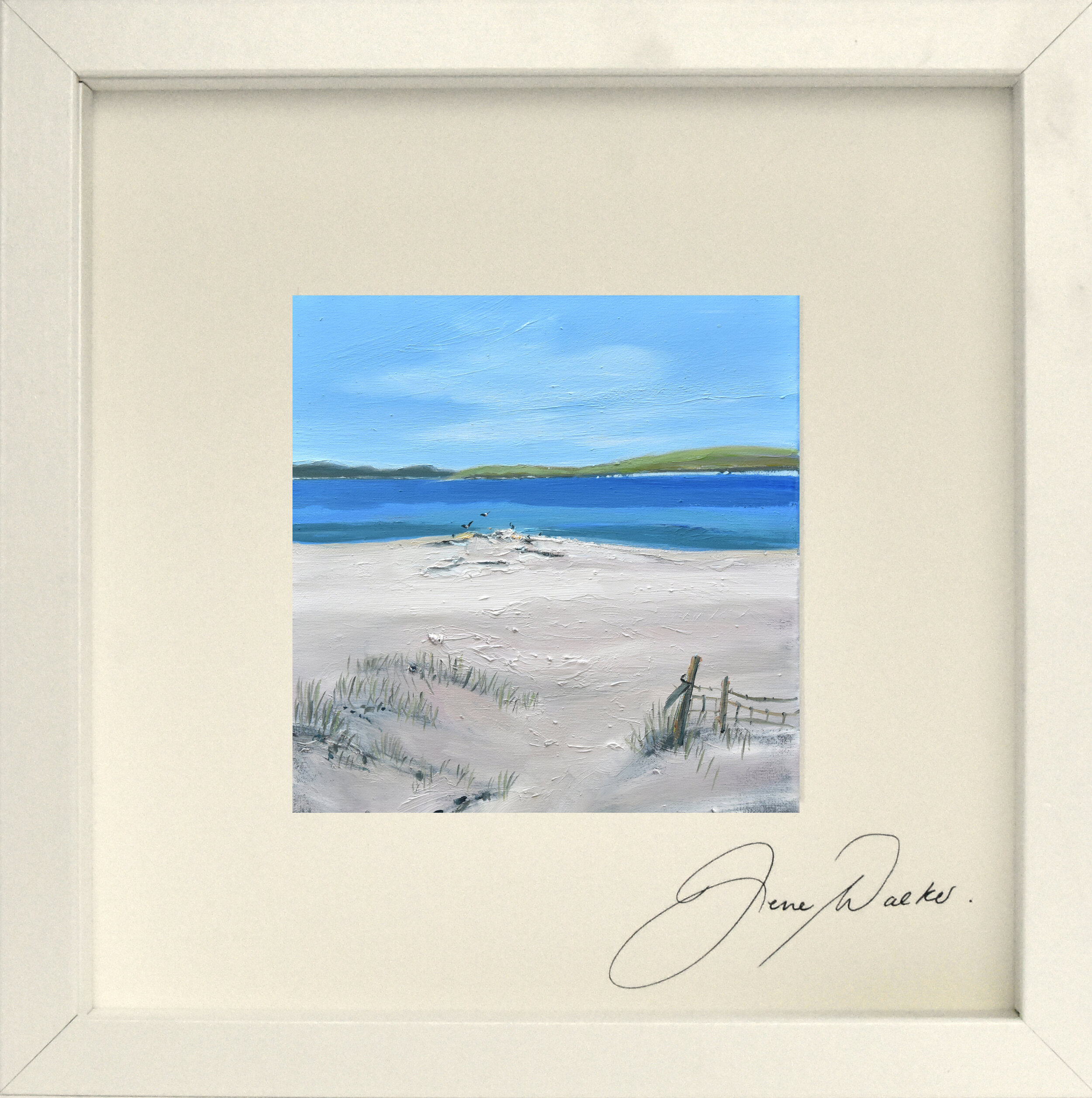 Gulls on Cleat Barra .jpg