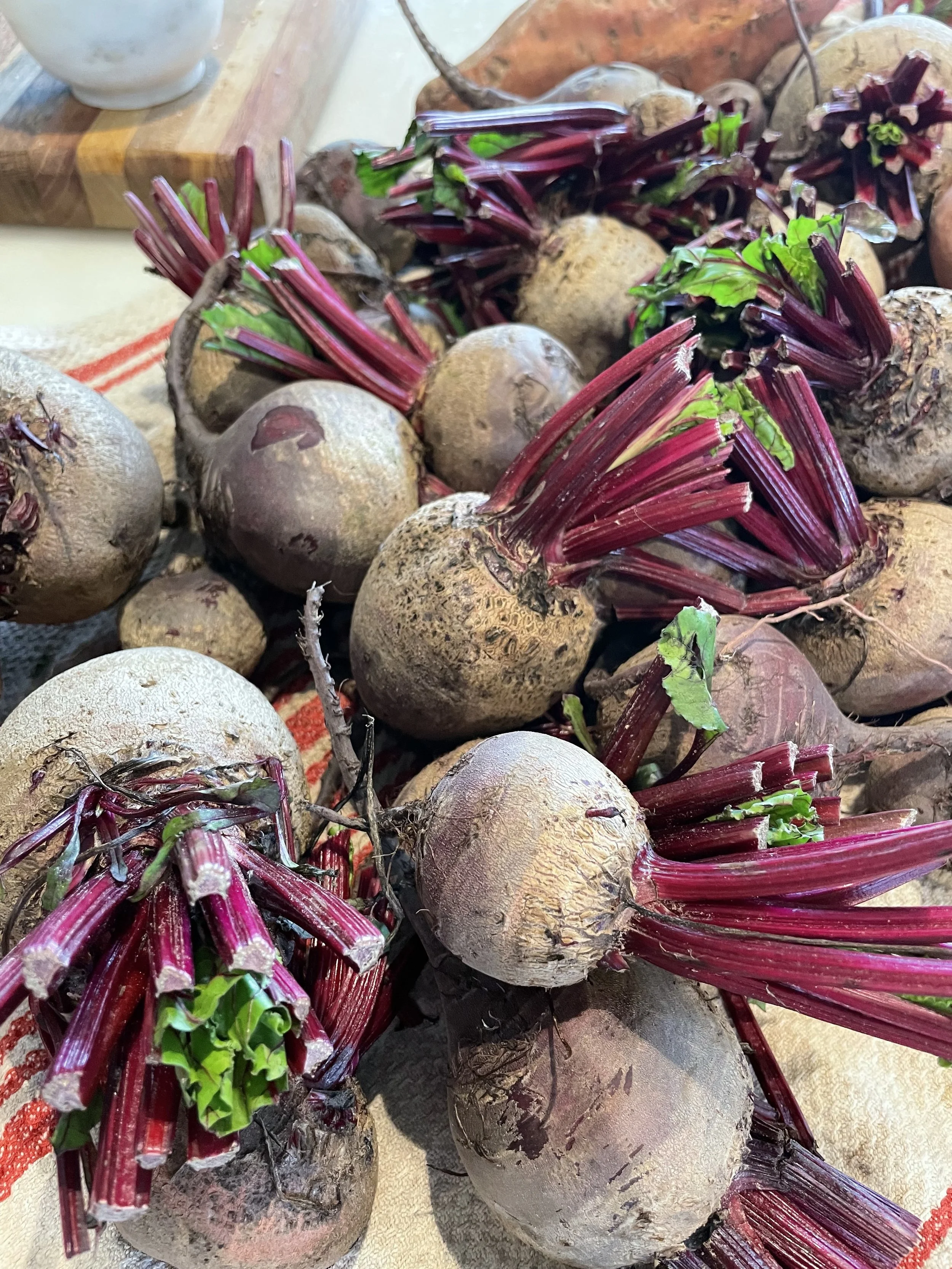 Fall Seasonal Beet, Sweet Potato & Wild Rice Salad