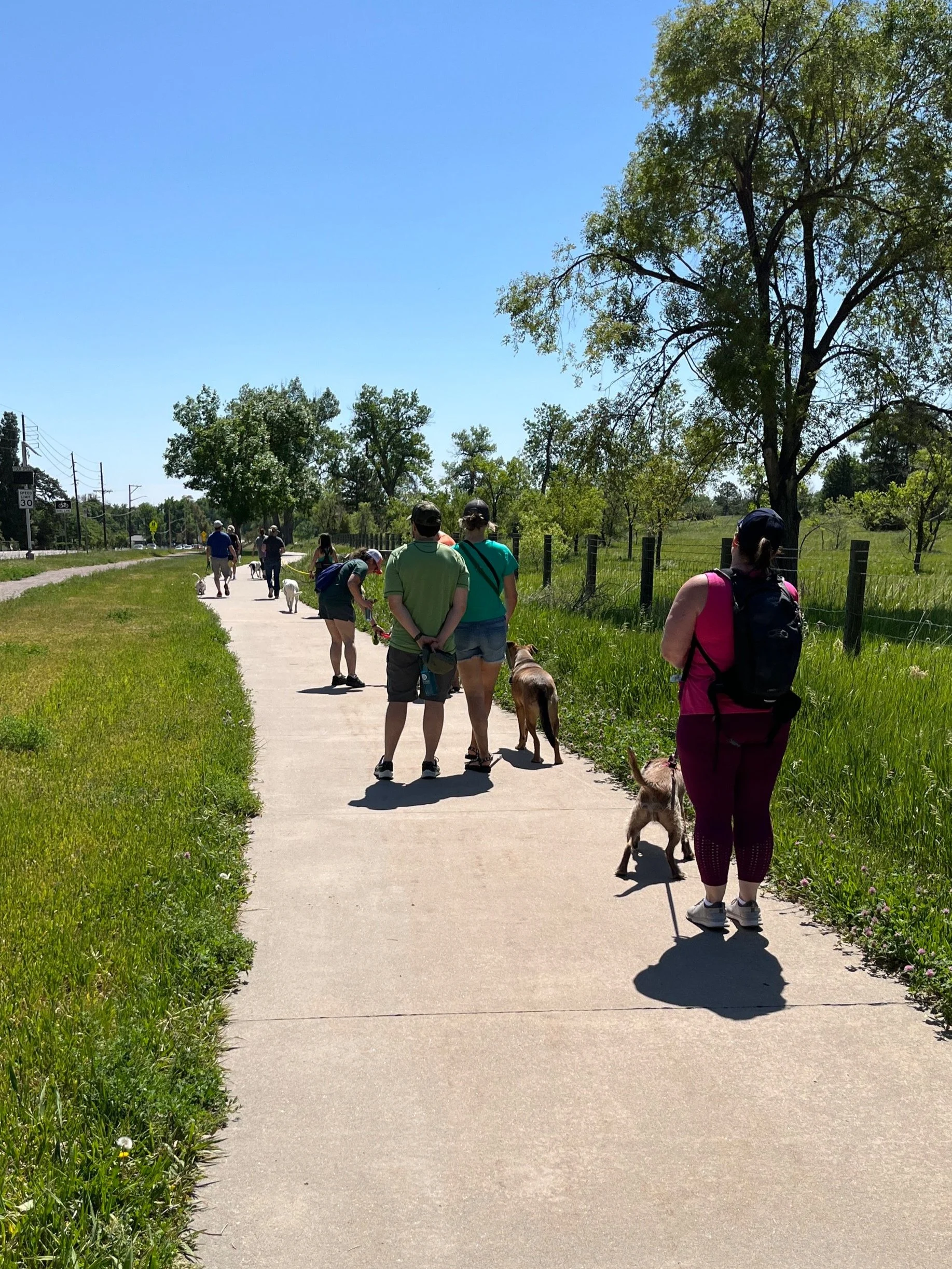 Group Walk