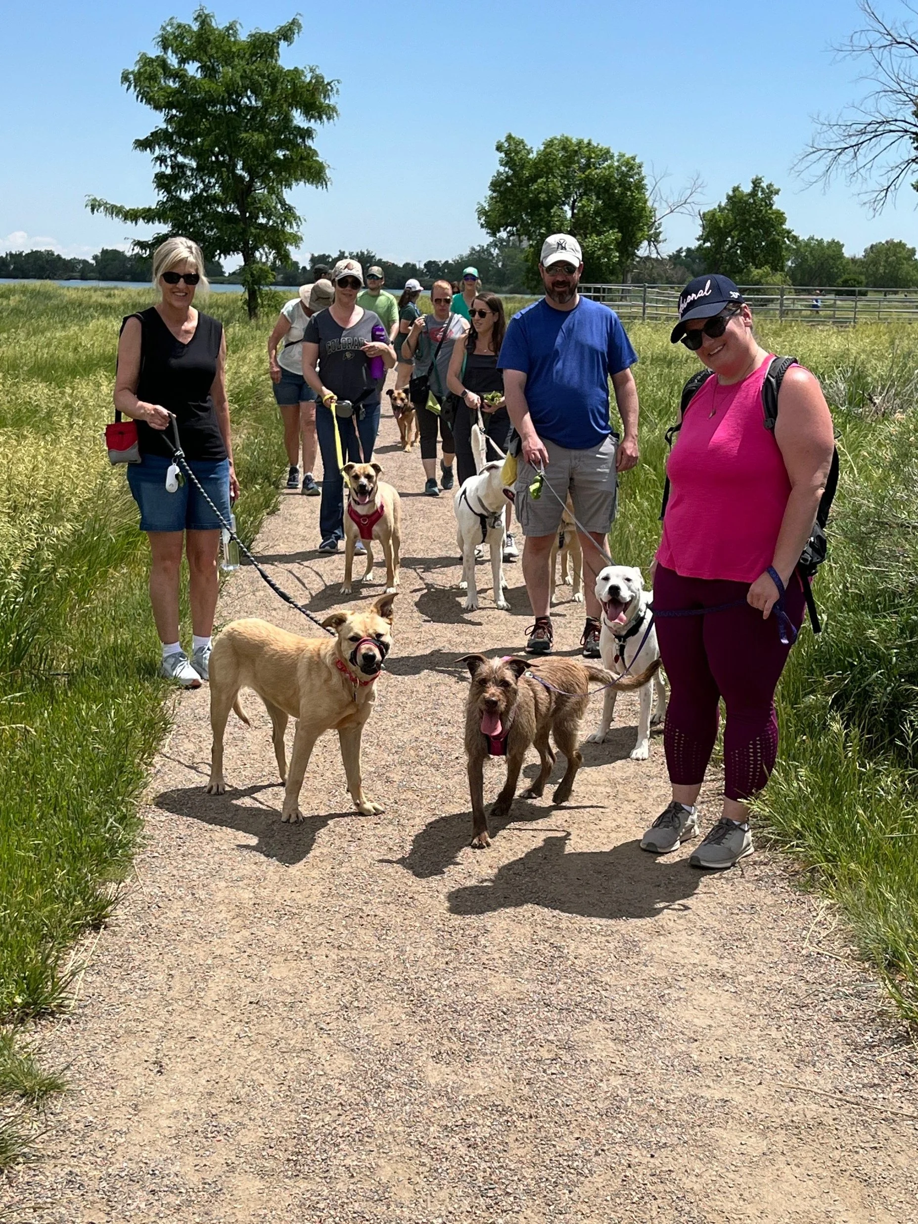 Group Walk