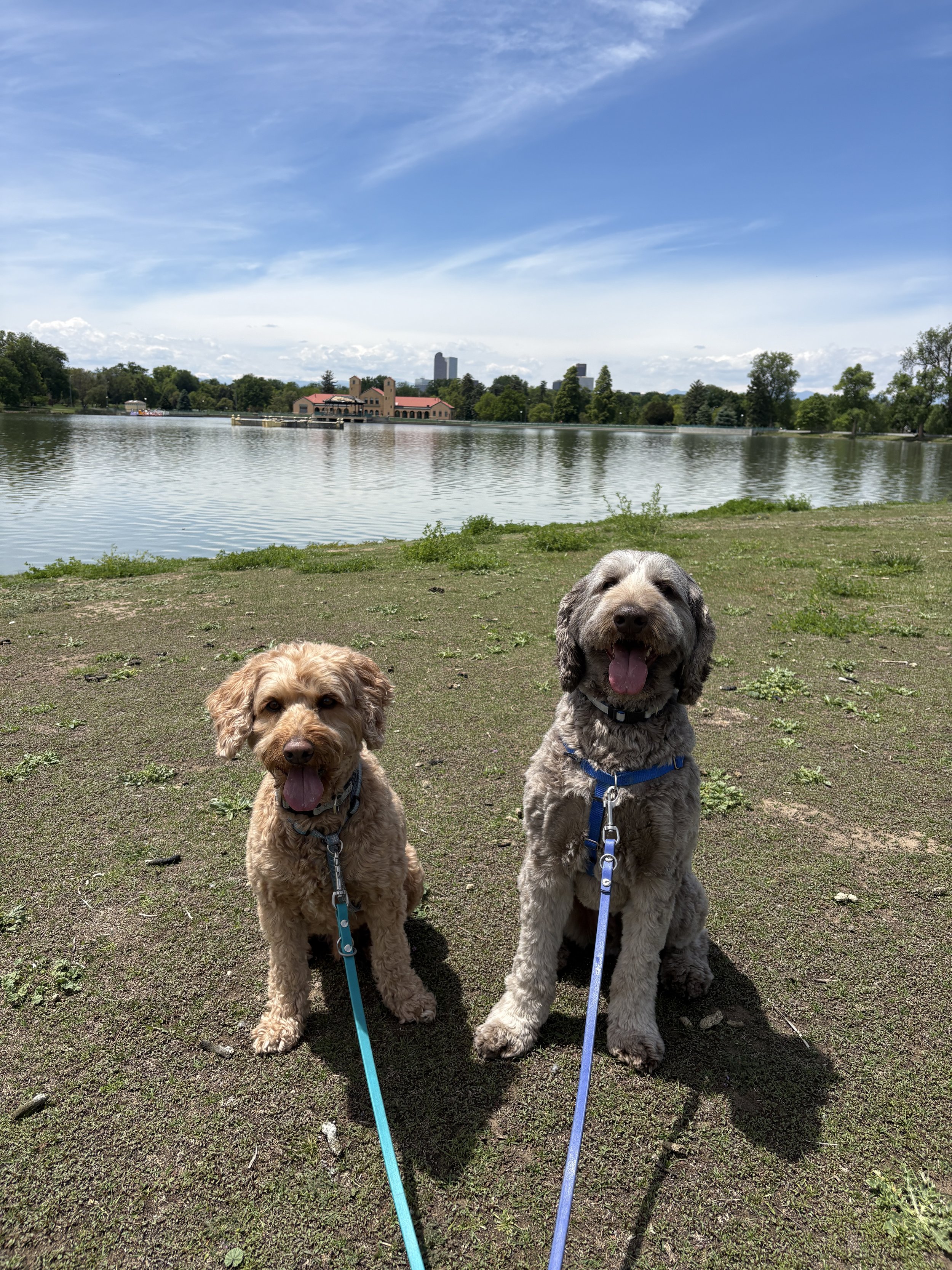 Group Walk 