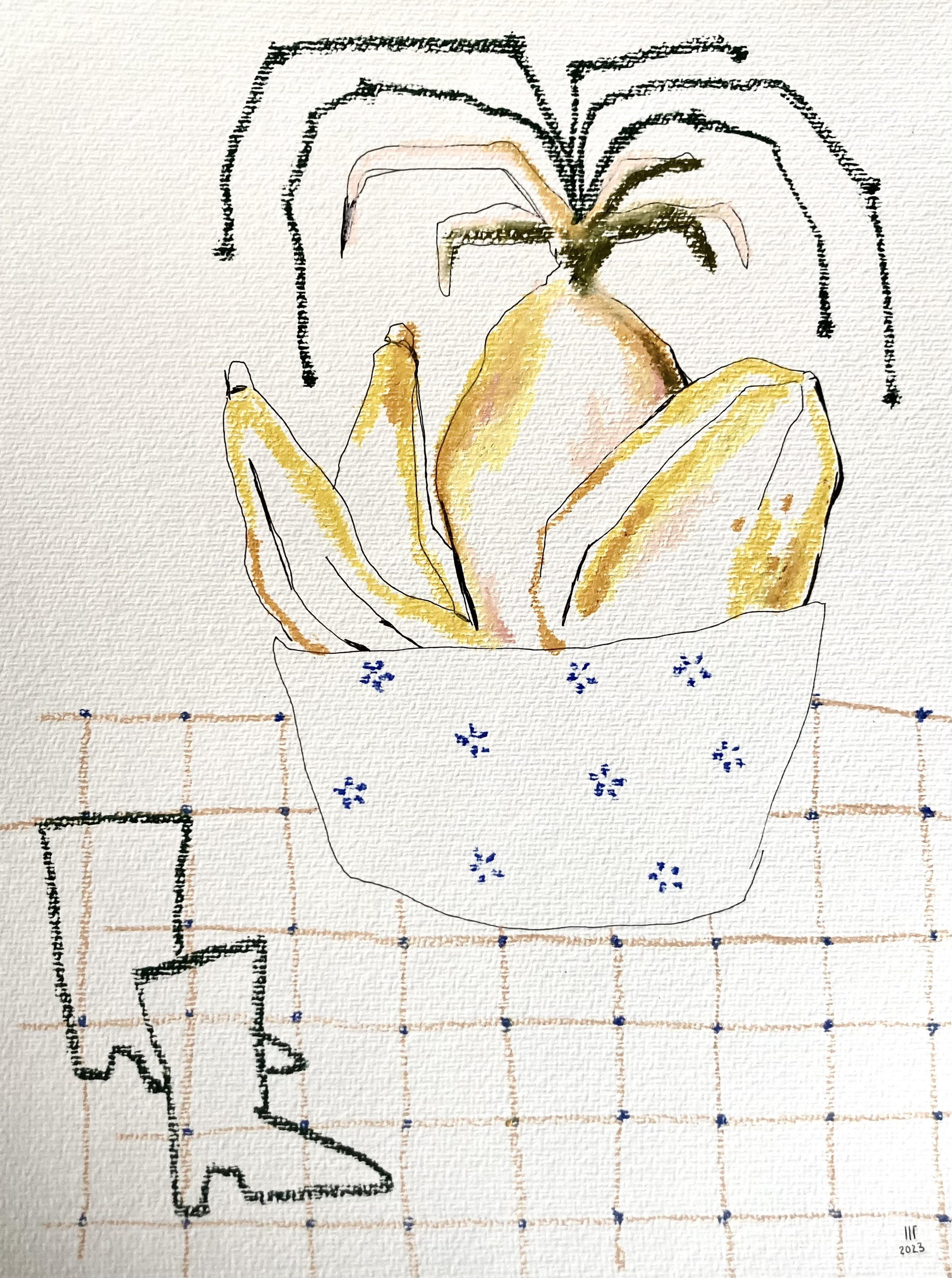 FruitBowl-HannahFranke-2.jpeg