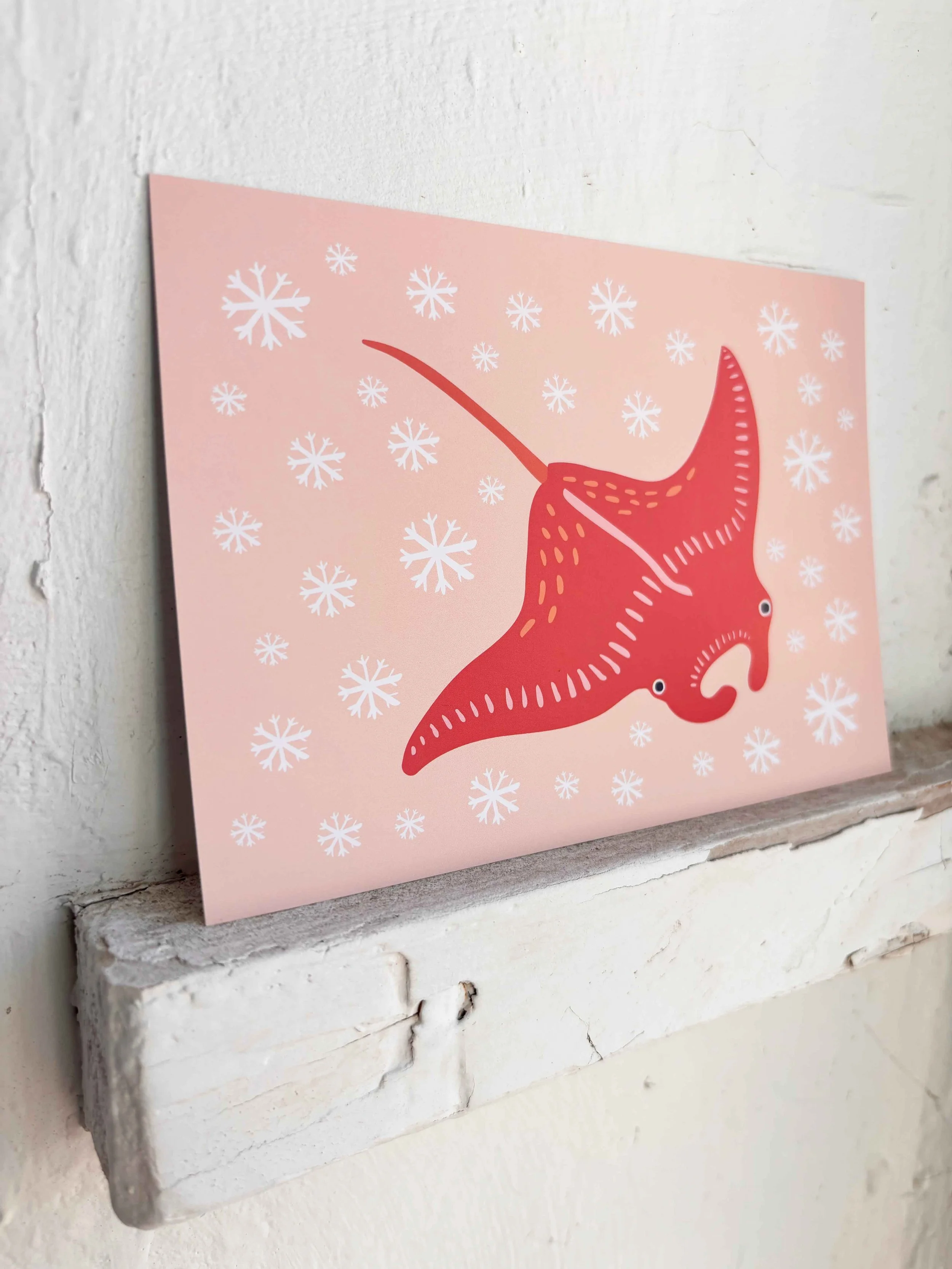 Manta-HannahFranke-4.jpg