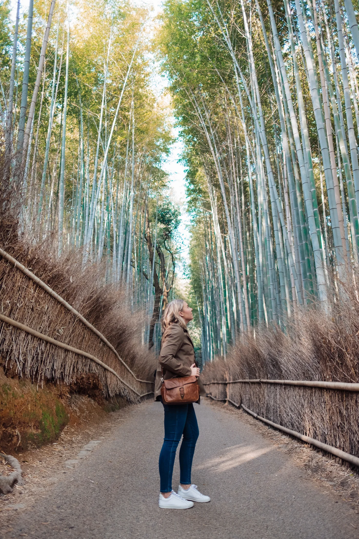 Arashiyama Bamboo Grove