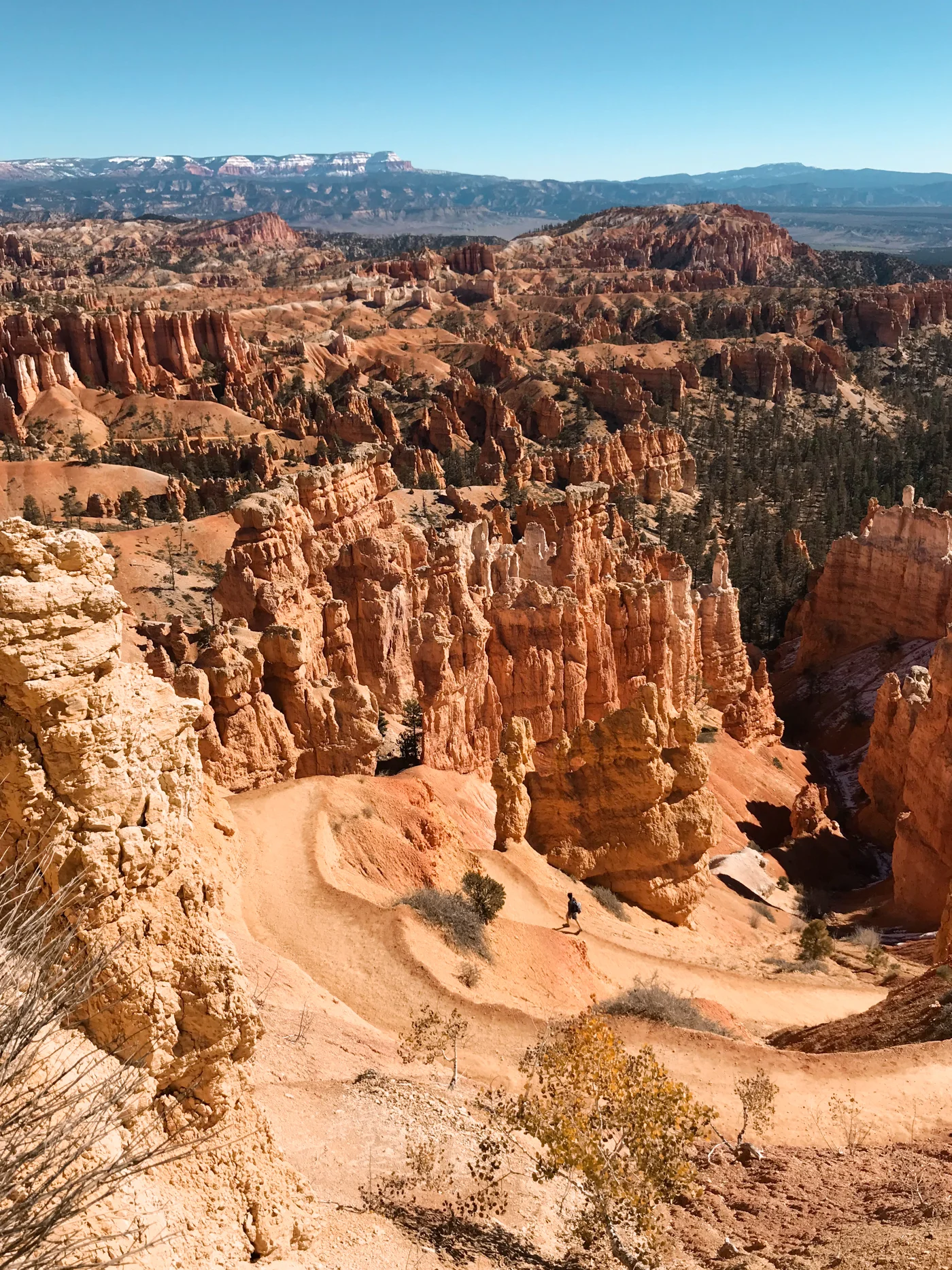 View down Bryce Canyon trial.
