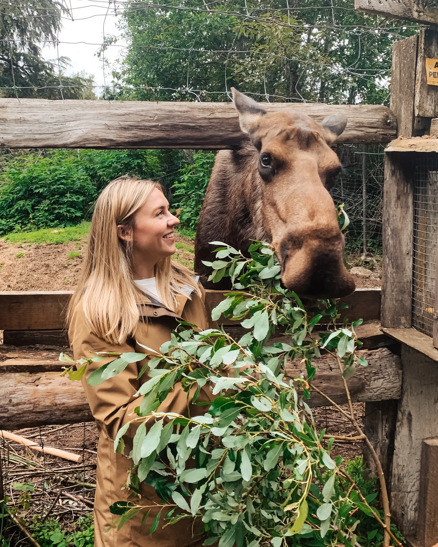 woman-moose-alaska-kroschel-center.jpg