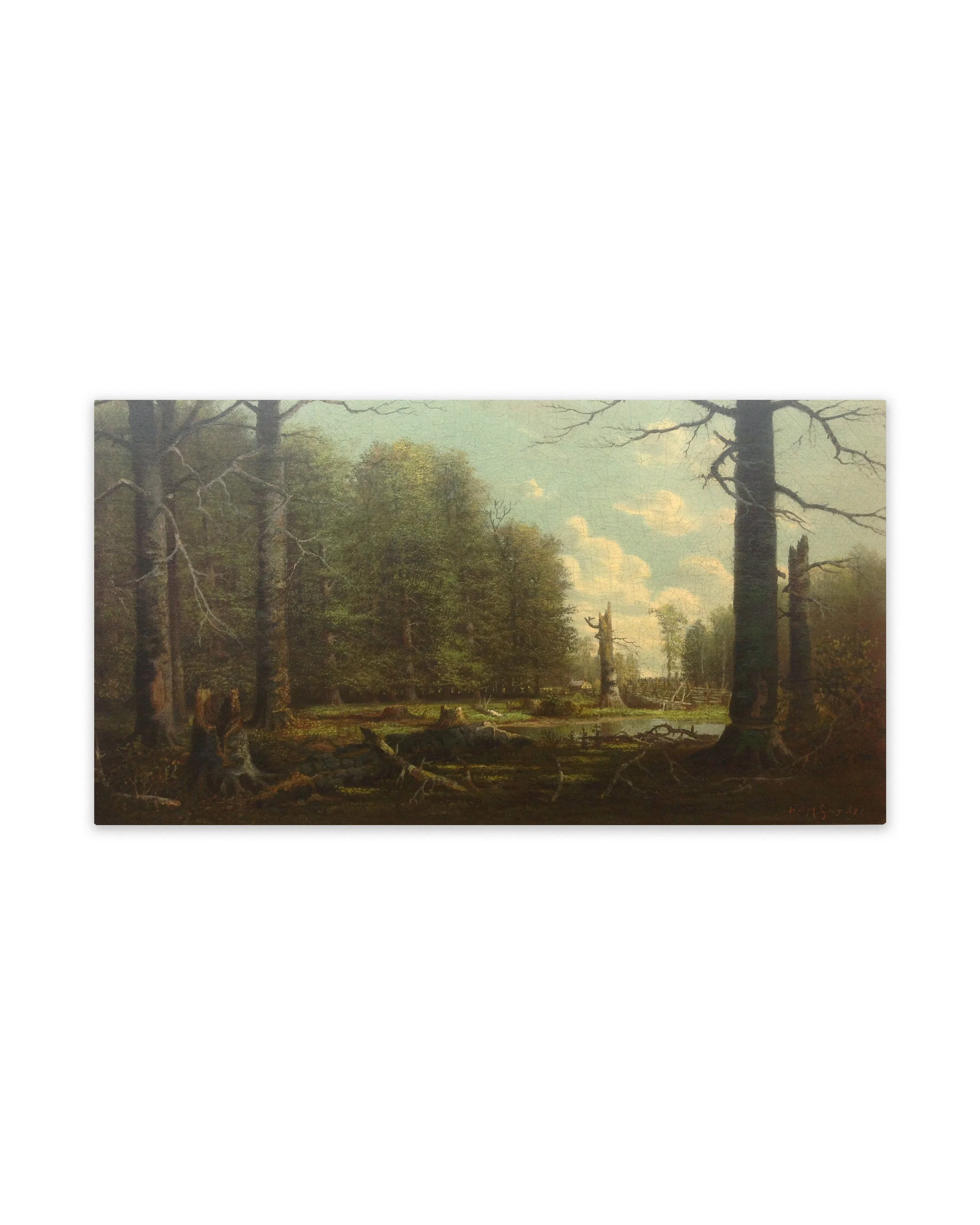 Forestscape with Tear AFT.jpg