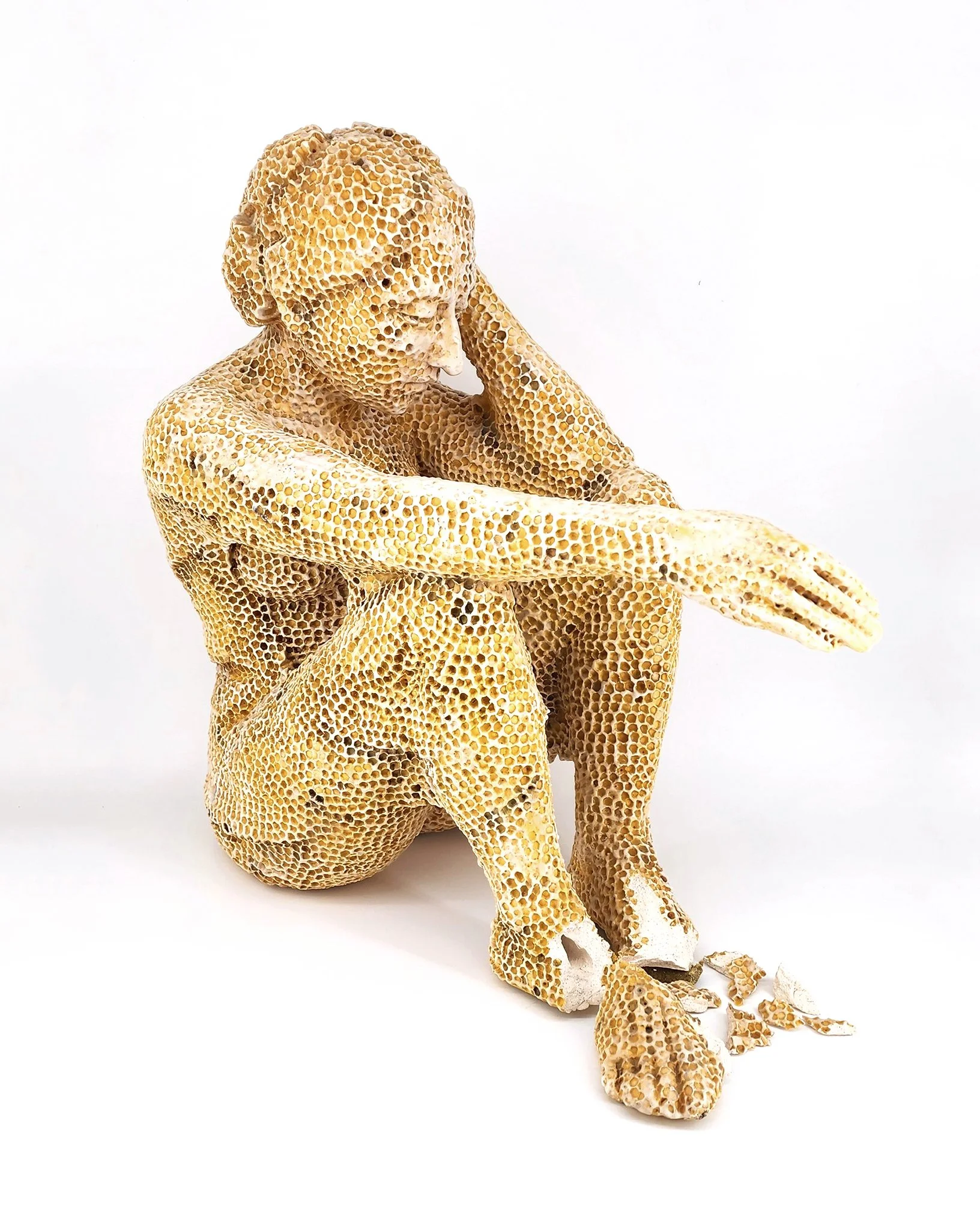 82088 Doust Honeycomb Figure 3.jpg