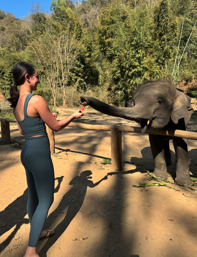 Screenshot 2026-02-11 at 10.44.44 AM.png