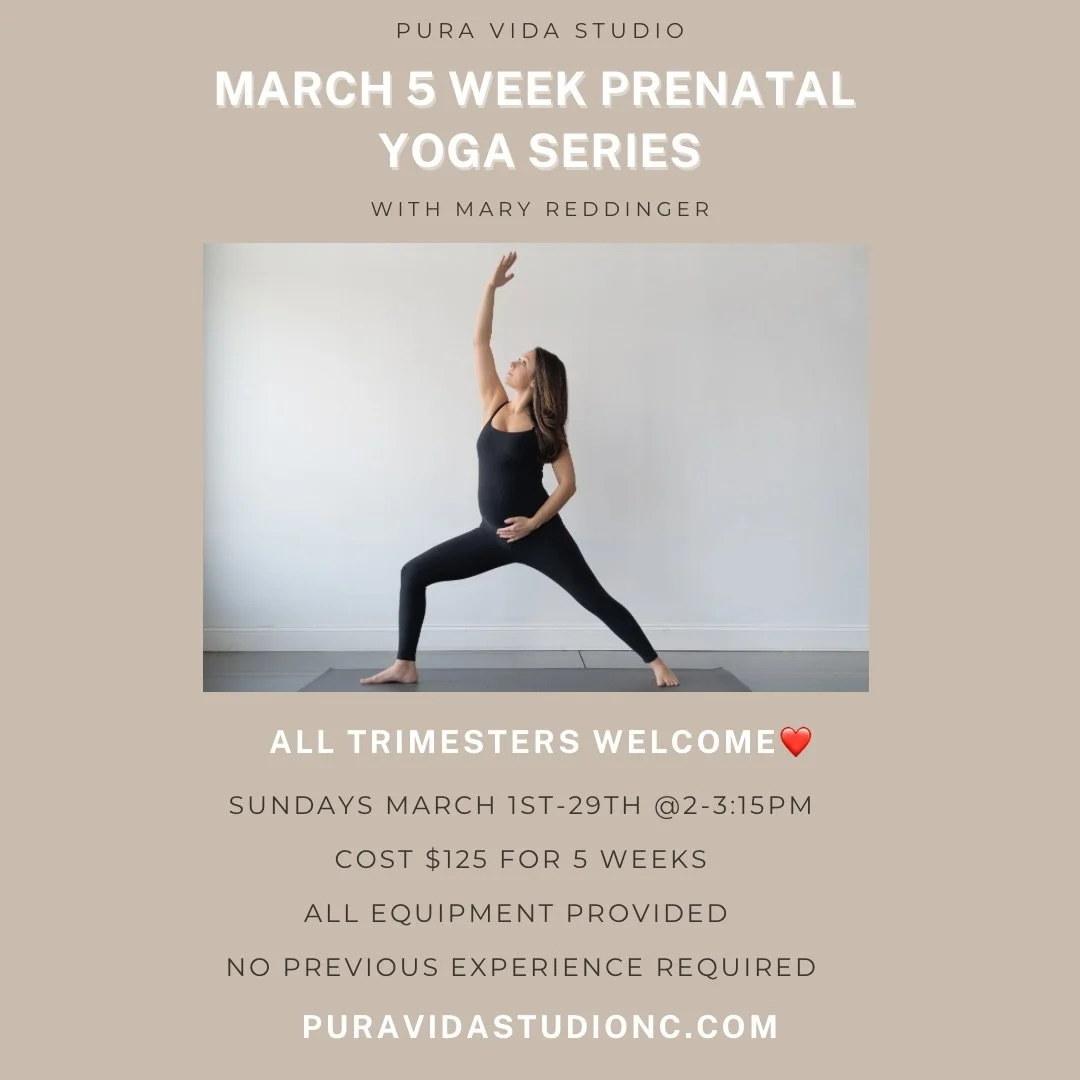 Pregnancy is a transformation. You deserve support through it! Join our 5 Week March Prenatal Yoga series✨

Our 5-Week Prenatal Yoga Series this March is a supportive space designed for every stage of pregnancy. Whether you&rsquo;re newly expecting o