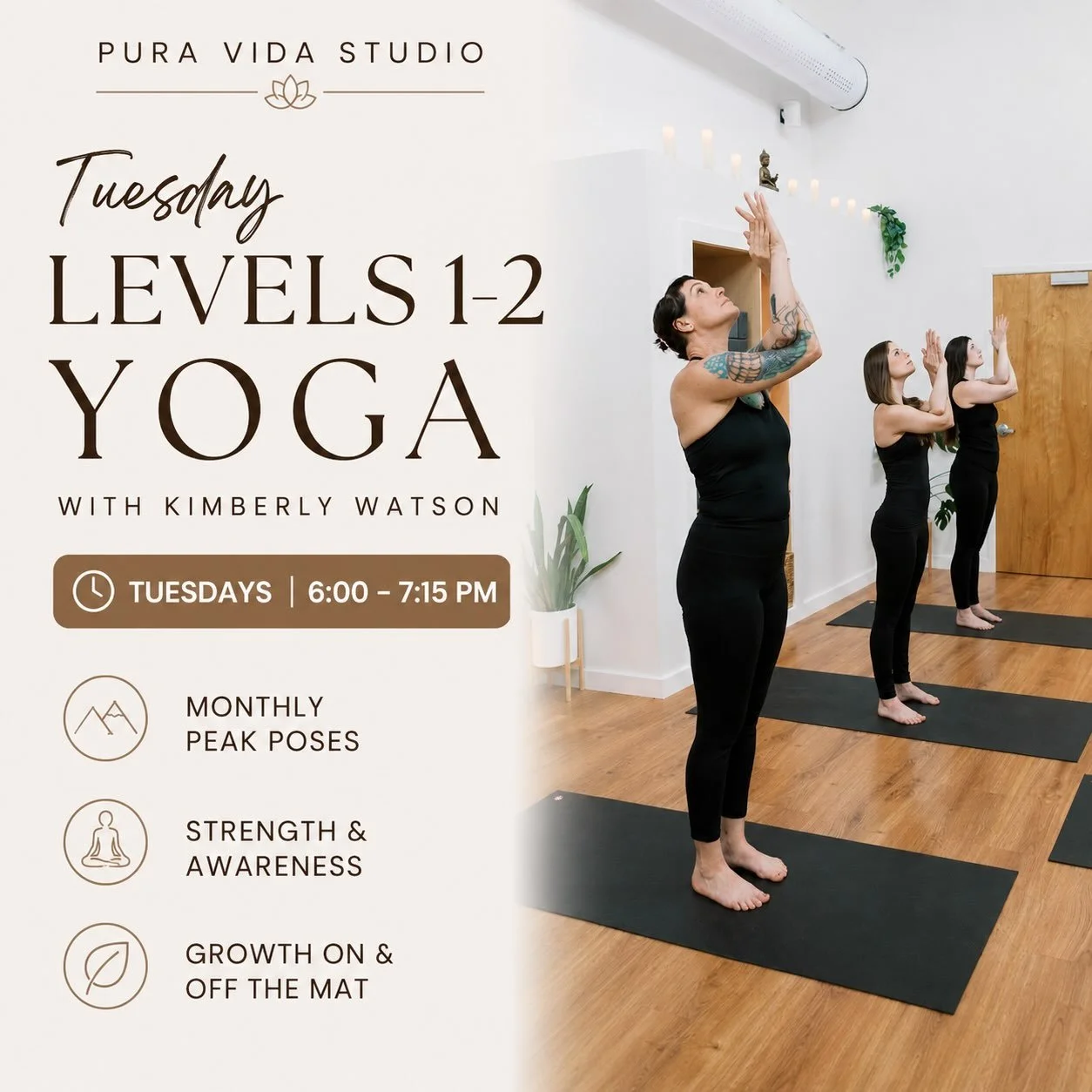 Tuesday evening yoga is getting a refresh!✨

Our Level 1&ndash;2 Vinyasa class is being revamped to help to grow your practice with more intention and to see more results🧘🏻&zwj;♀️💪🏻

Each month, we&rsquo;ll focus on a featured peak pose like arm 