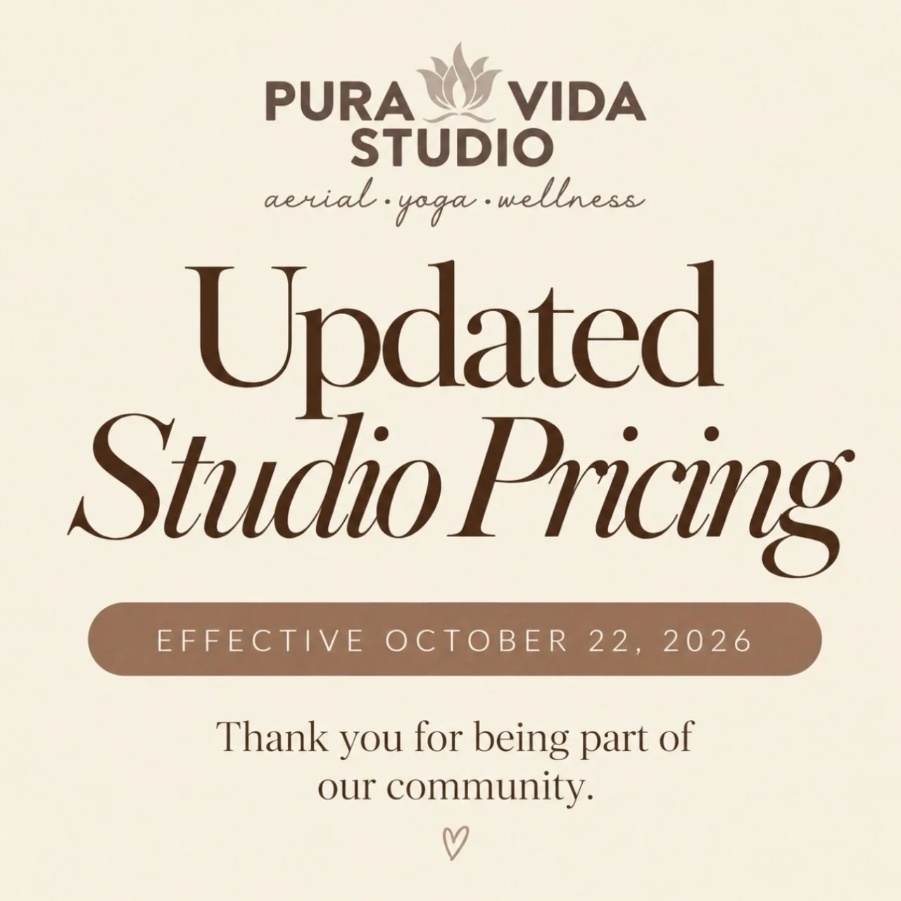 Updated Studio Pricing | Effective October 22, 2026 ✨

As Pura Vida Studio approaches 8 years, we are updating pricing across all offerings, from ground and aerial classes to open studios, private lessons, and more!

After nearly 8 years without pric