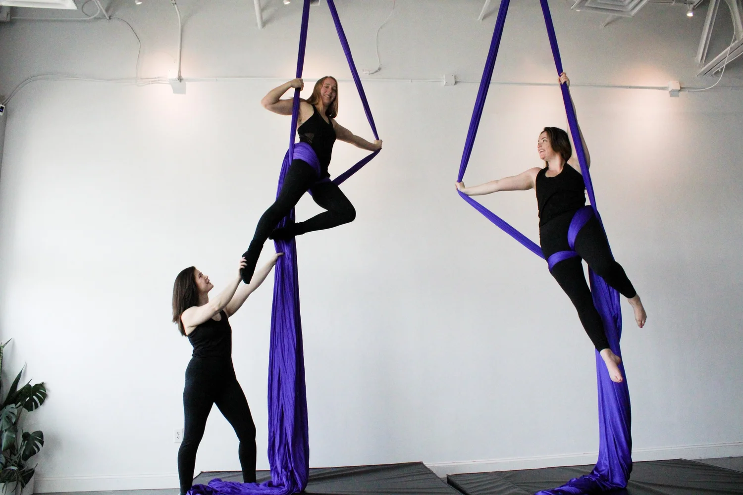 AERIAL SKILL LEVELS — PURA VIDA STUDIO