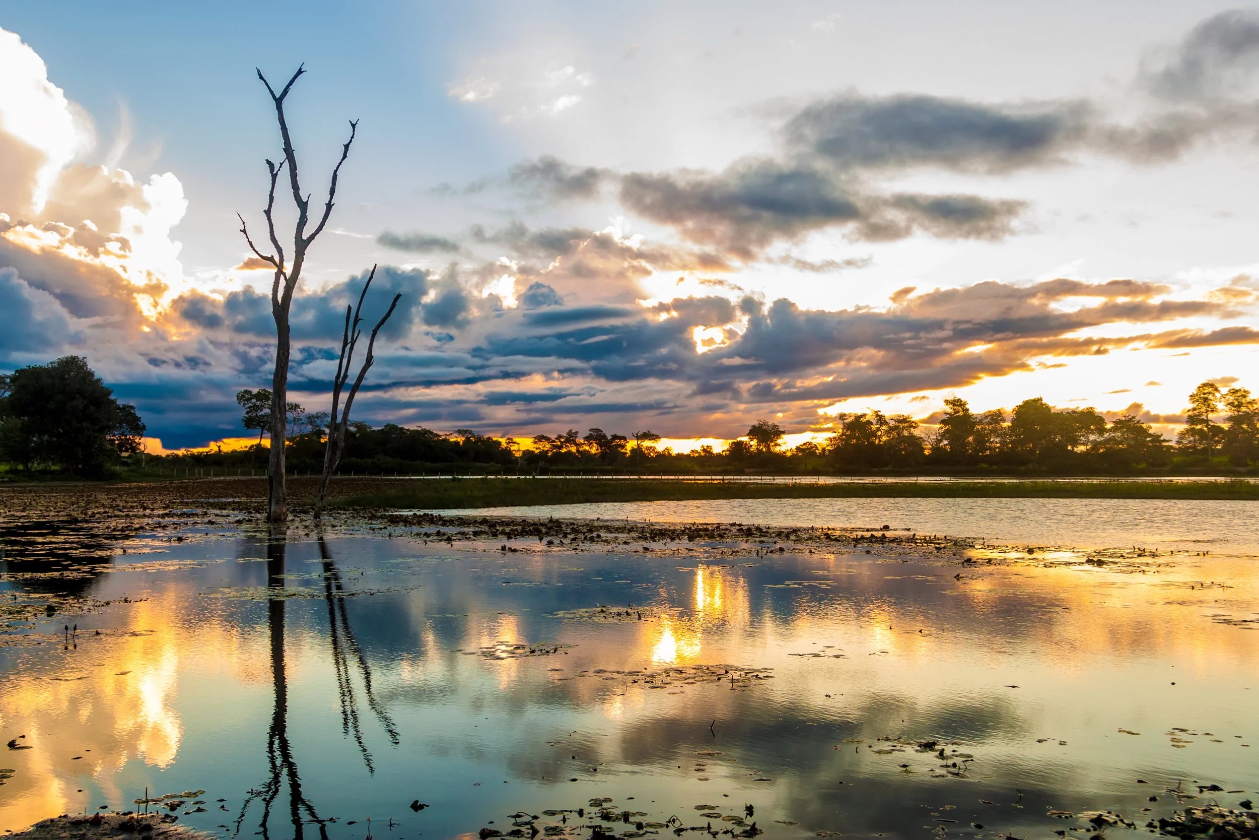 Pantanal sunset.jpg