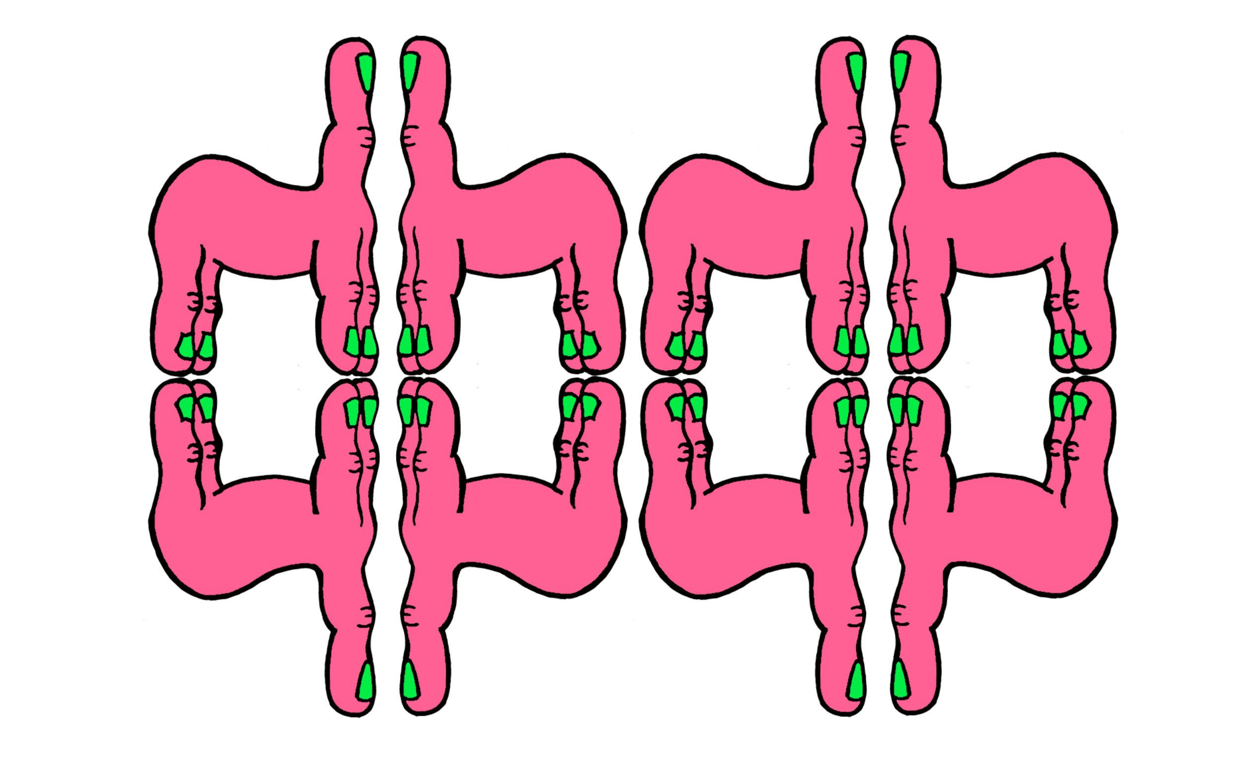 mr.hanimal handala .png