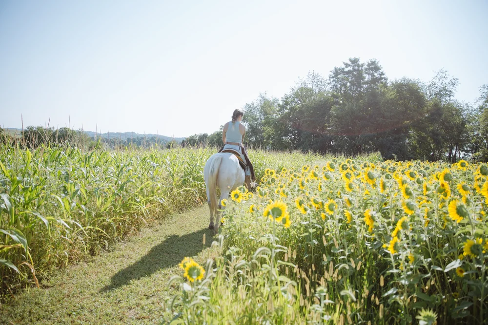 Riding Lessons-33.jpg