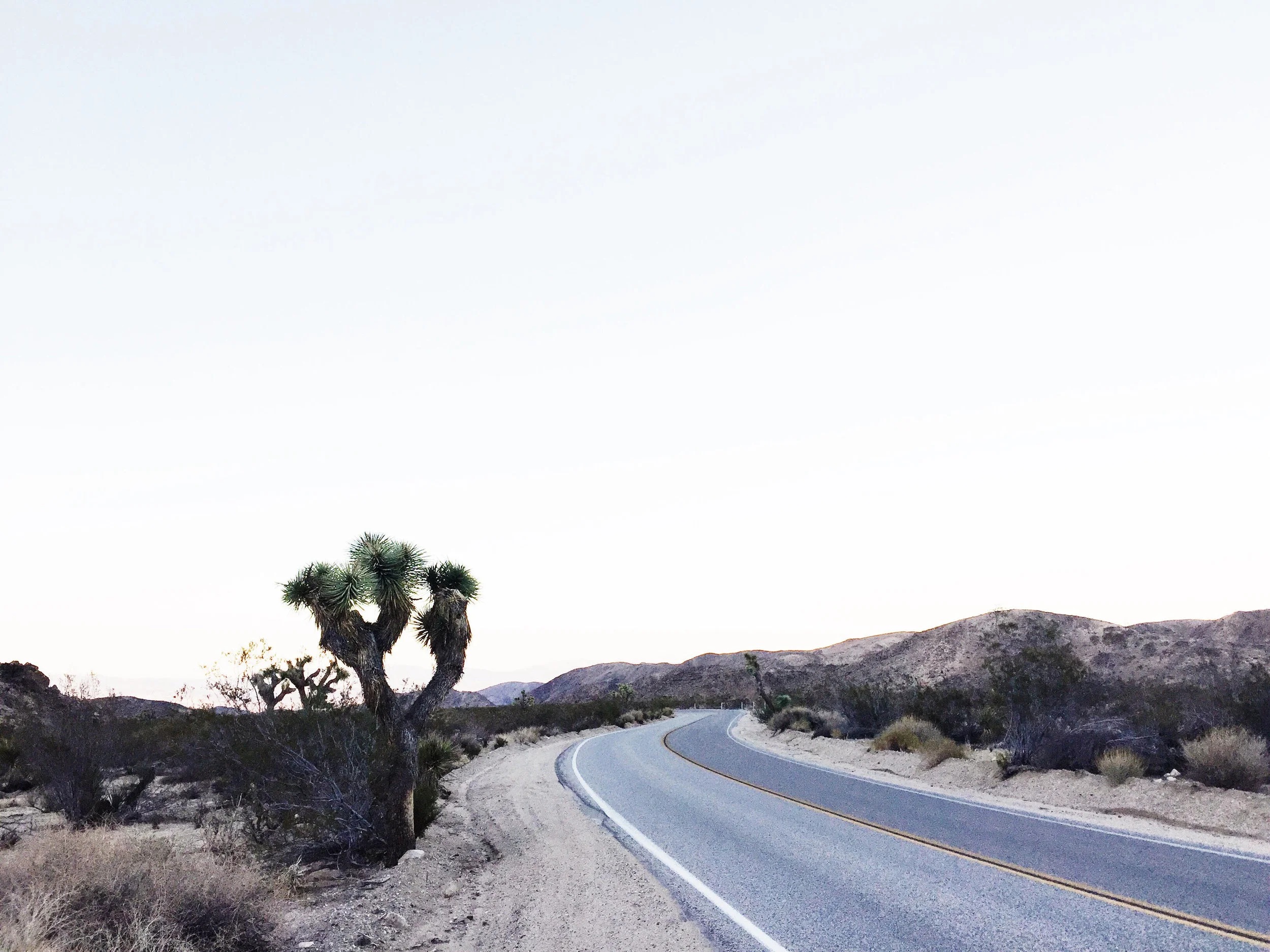 2_desert highway.jpg