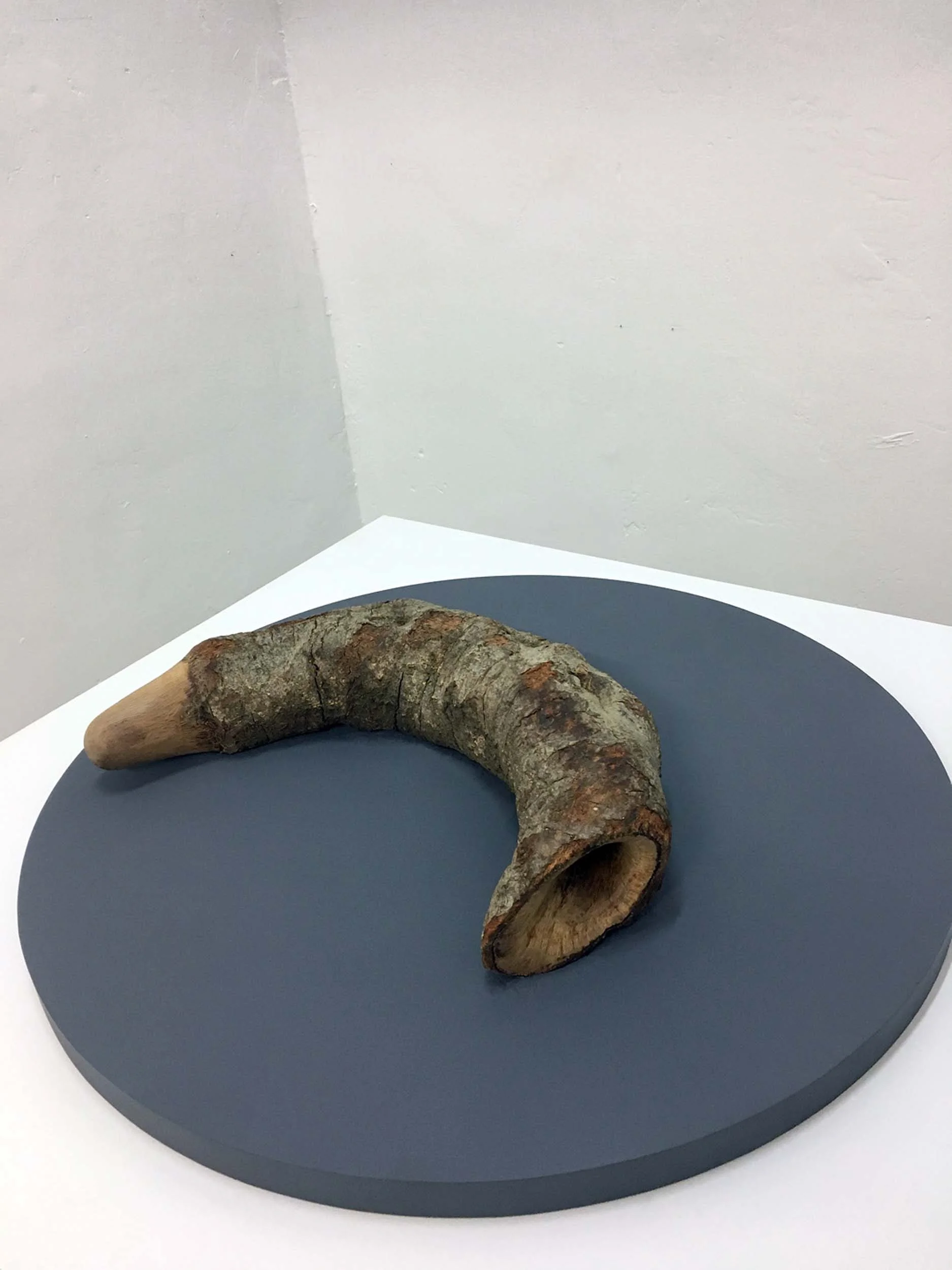 Dead Ouroboros