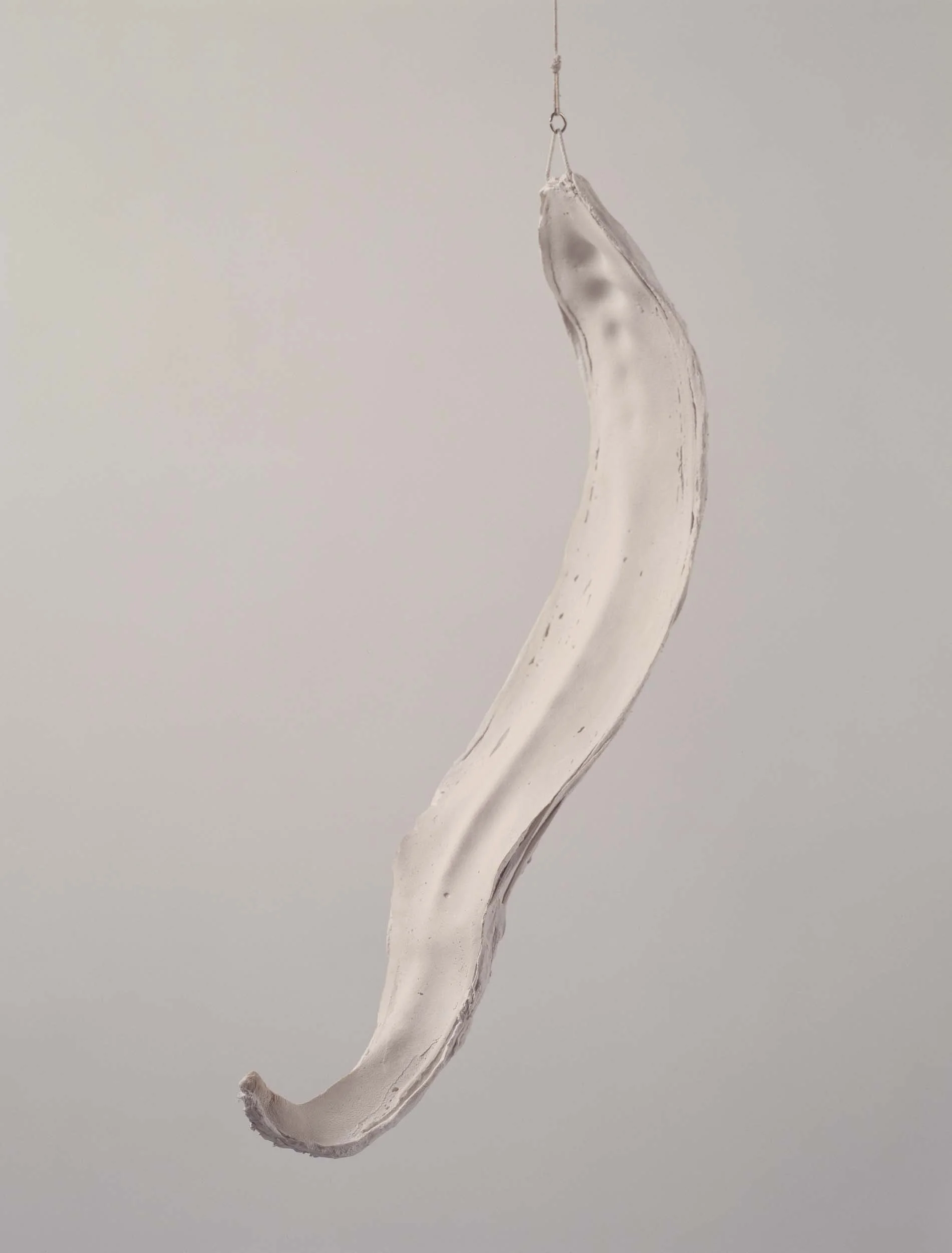 Untitled (Head to Tail)