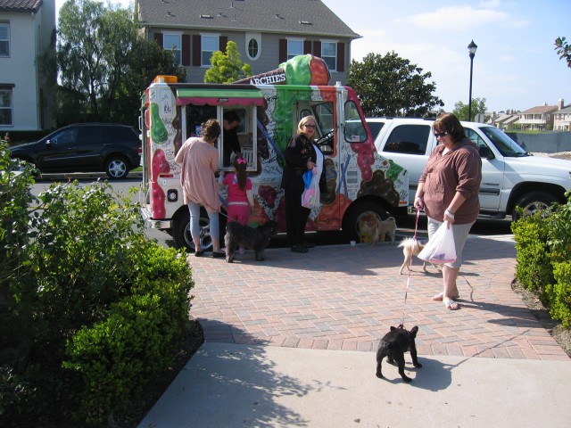 IMG_922153054b79d8c16.jpg