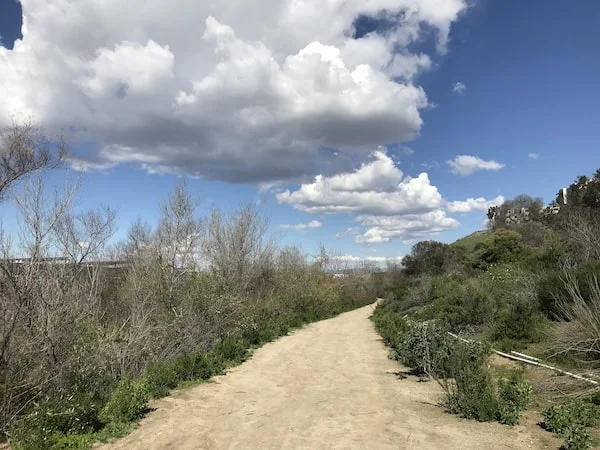 Walking trail near my office space