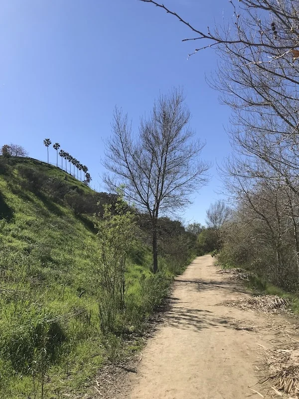 Walking trail near my office space