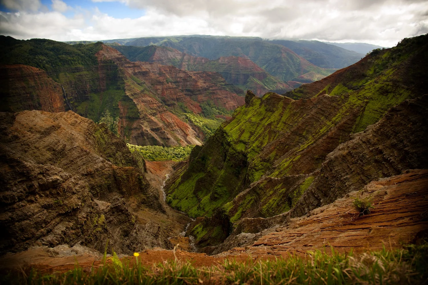 Body-Mind Integration: 7 Benefits of Somatic Psychotherapy