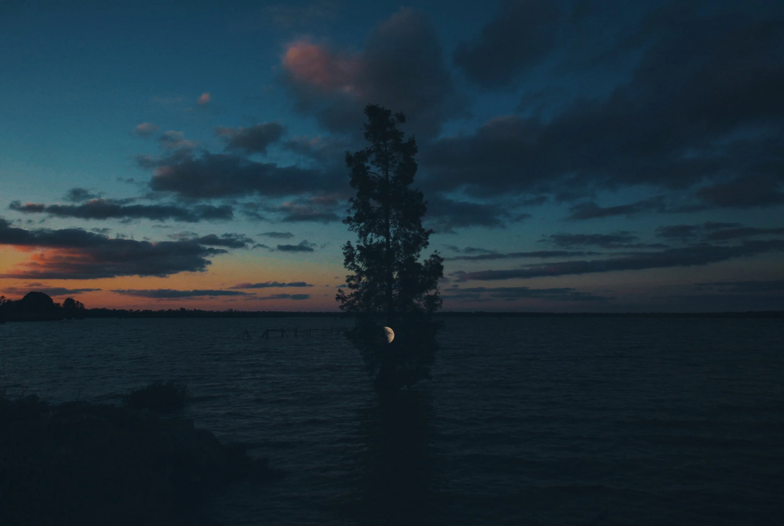 Alignment, 2018