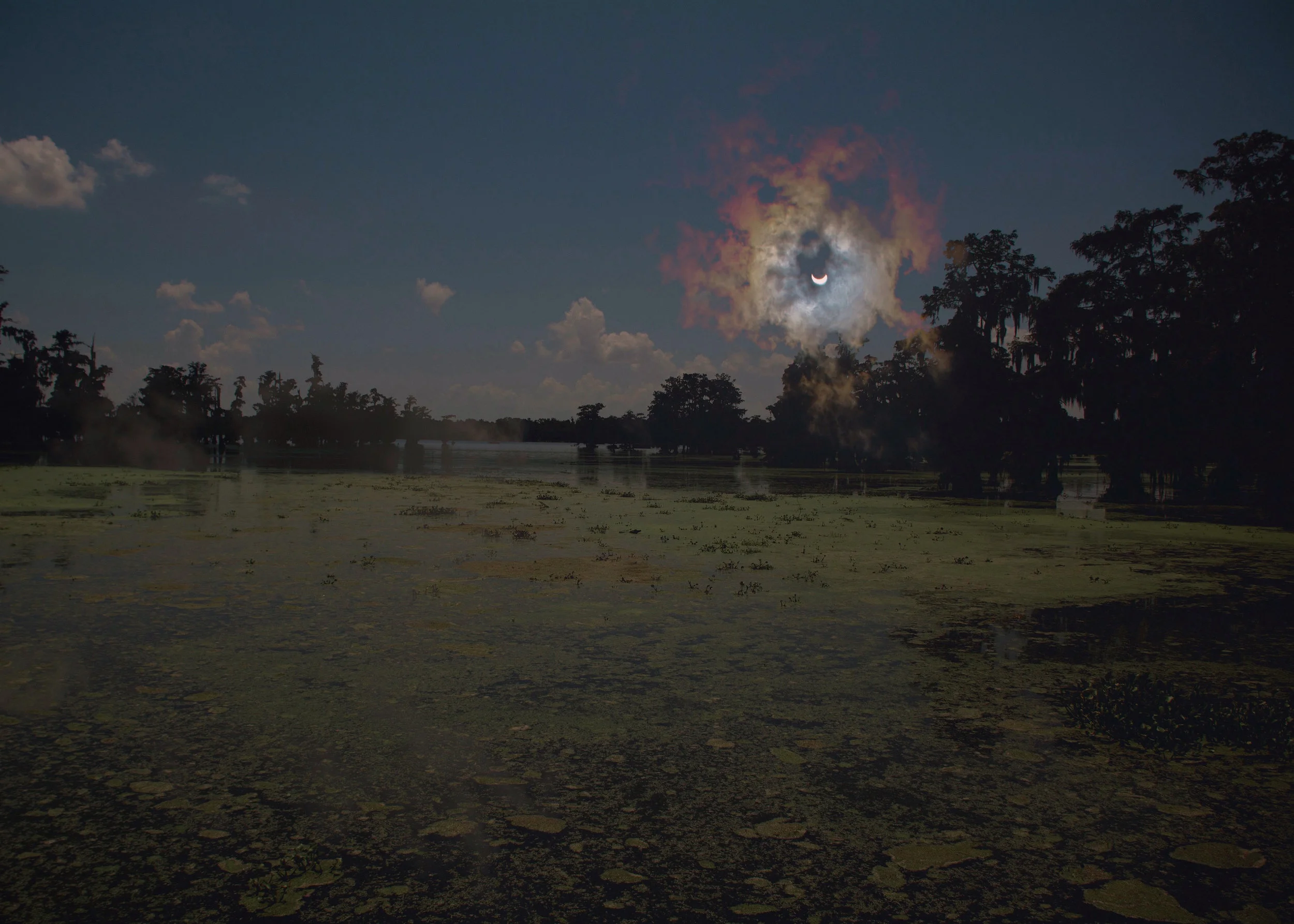Swamp Solar Eclipse, 2017